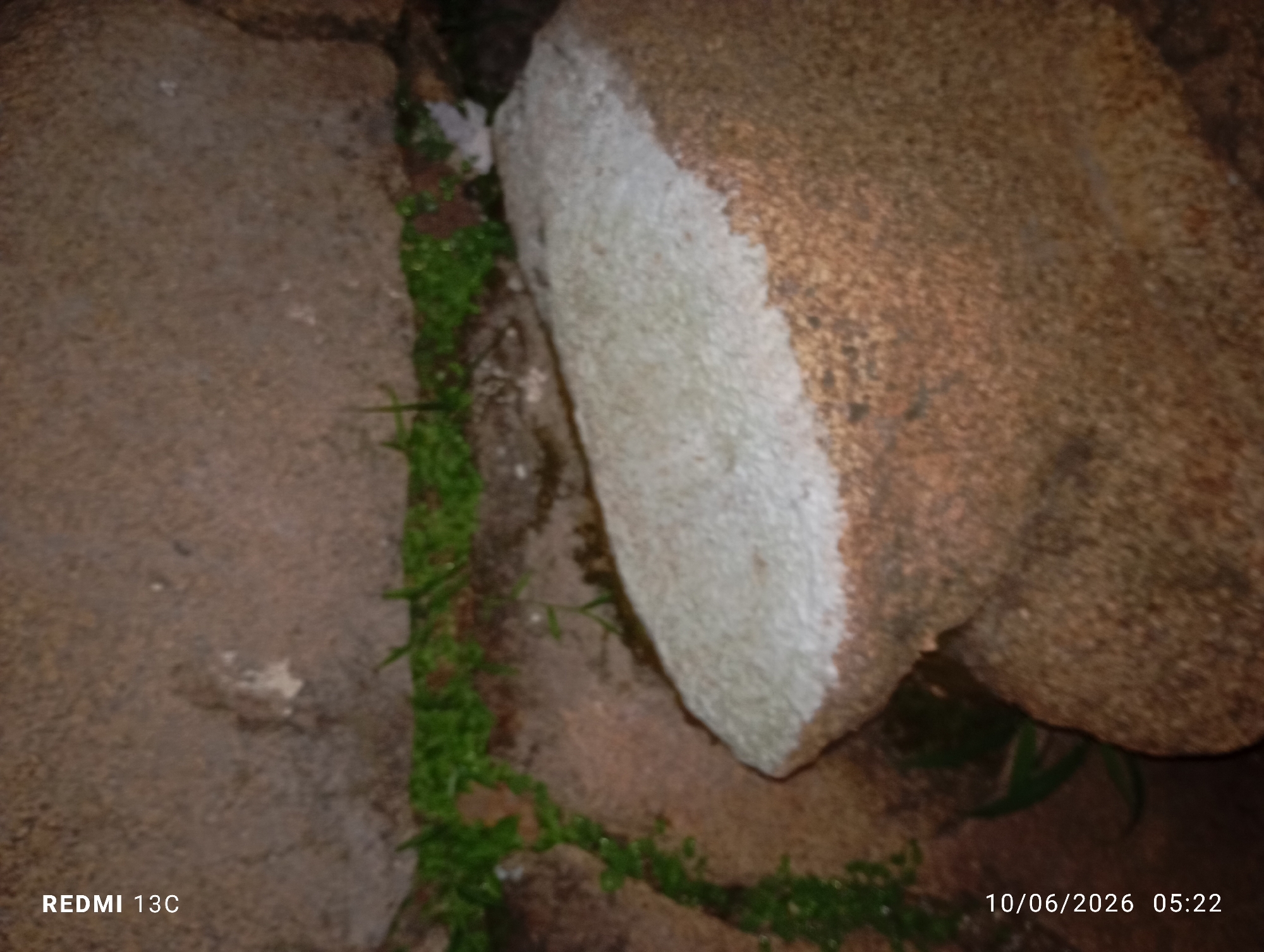 The image shows a close-up view of rocks and some vegetation. Two large rocks are prominently featured, with a line of small green plants growing between them. One rock is a lighter, rough textured color with some white material on its surface, while the other is a darker, more mottled brown. The lighting suggests it might be evening or nighttime. The timestamp in the lower right corner reads "10/06/2026 05:22". The text "REDMI 13C" is visible in the lower left corner, indicating the device used to capture the image. There are no people or animals visible in the image, and no specific landmarks are identifiable that would definitively place it in Jos, Nigeria.