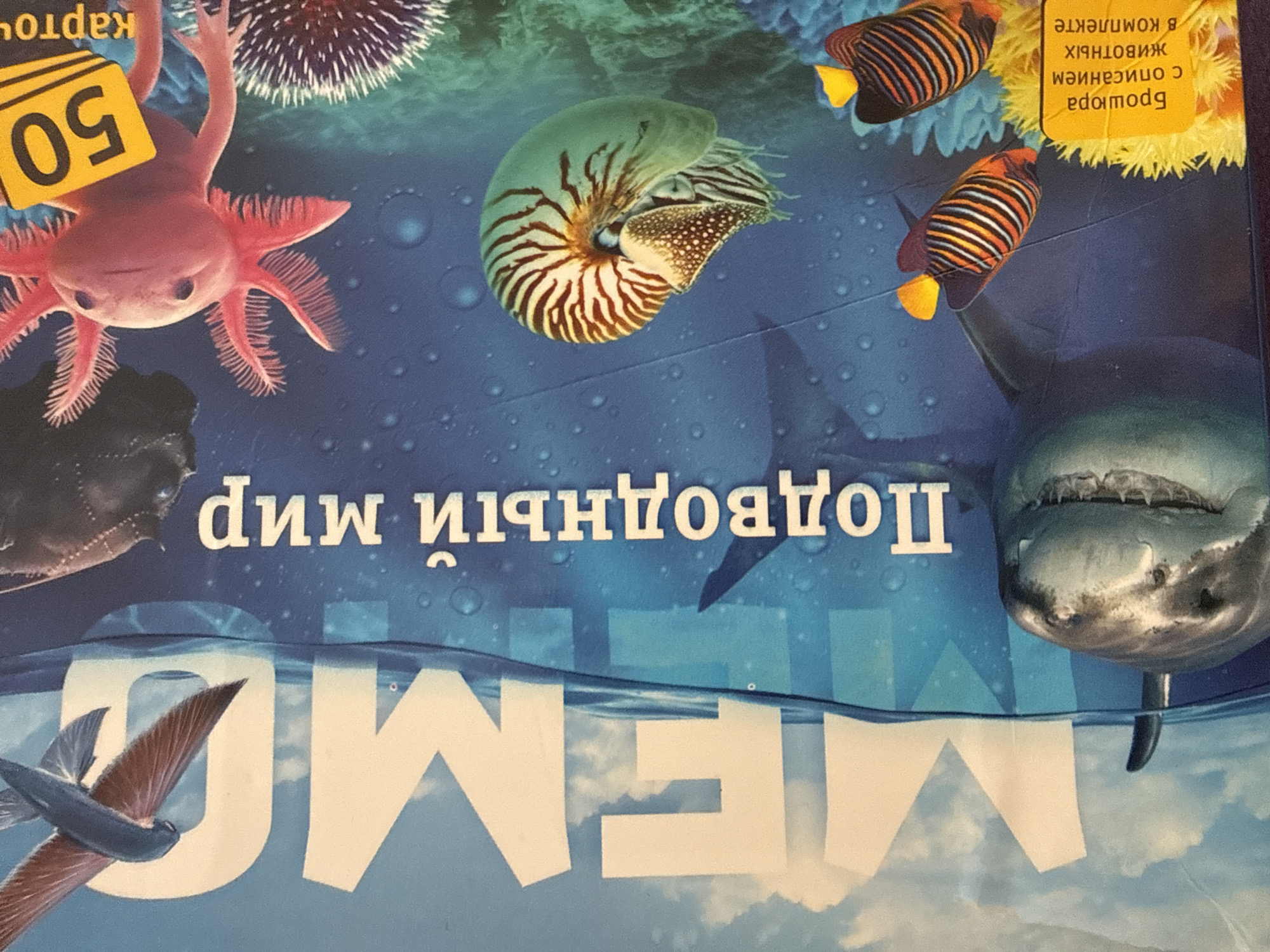 The image displays a book cover or poster titled "MEMO" and "Подводный мир" (Underwater World) in large white letters. The background is a vibrant blue with bubbles, depicting an underwater scene. Several marine creatures are featured: a flying fish is visible in the upper left, a pink axolotl with a yellow tag showing "50" is in the upper right, a nautilus shell is in the middle right, and a shark's head is prominent in the lower left. Two angelfish with orange, black, and white stripes are in the lower right, next to a yellow brochure with Russian text. The text on the yellow brochure reads "Брошюра с описанием животных в комплекте" which translates to "Brochure with description of animals included". The cover appears to be a product for sale, possibly a game or educational material. There is no indication or context within the image that places it in Sochi, Russia.