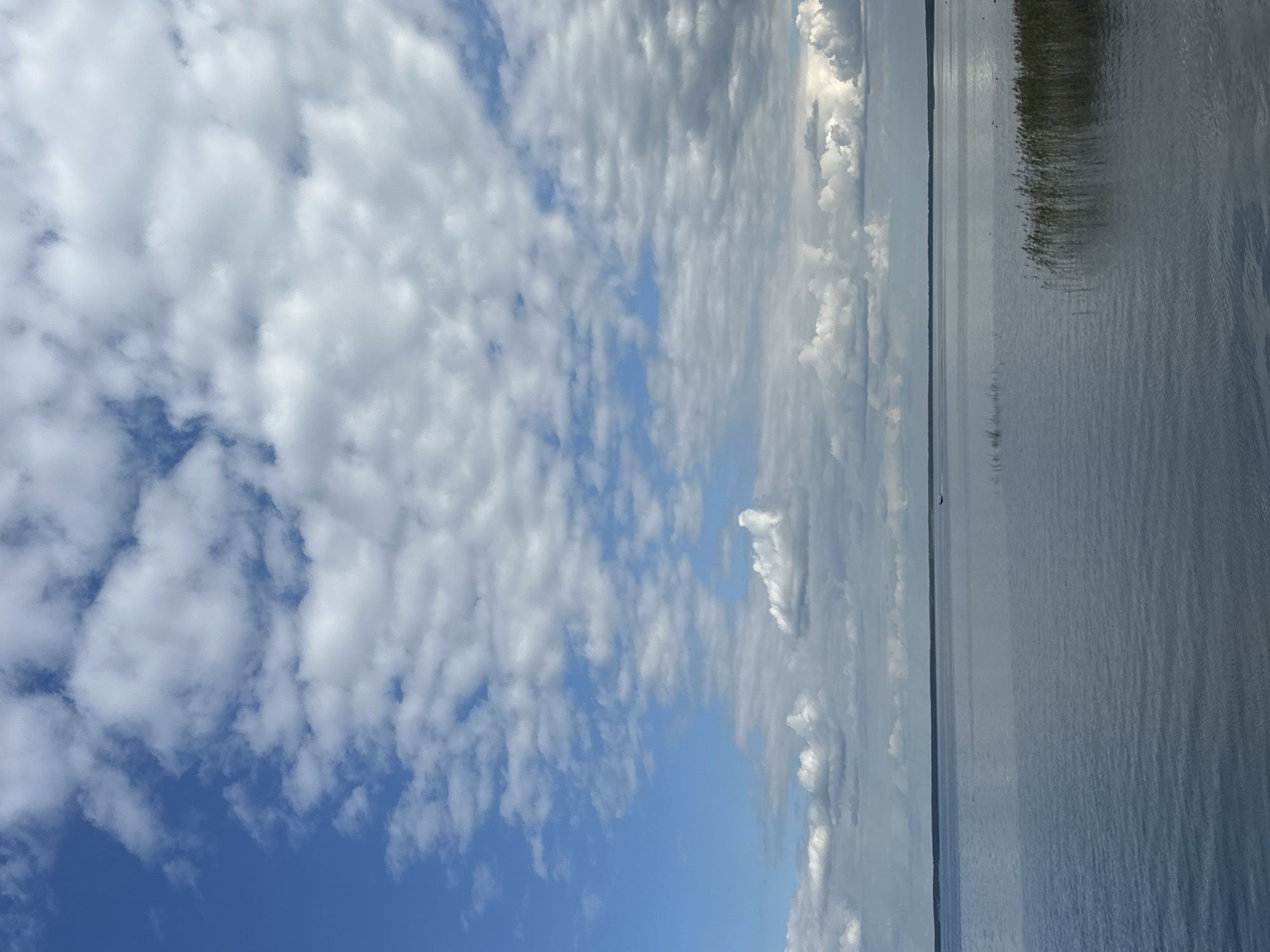 The image shows a wide, calm body of water, likely a lake, under a partly cloudy sky. The water is a deep blue-grey, with gentle ripples reflecting the sky. In the distance, a thin, dark line marks the horizon, likely the far shore or a dense treeline. A very small dark object, possibly a boat, is visible on the water far to the right of center. To the right of the frame, tall, slender reeds grow in clusters from the water. The sky above is a bright blue, filled with a mix of puffy white cumulus clouds and softer, greyish clouds. The scene suggests a natural, tranquil environment. The location is identified as Нарацкі сельскі Савет, Belarus, which is known for the Naroch Lake National Park, a popular natural area with large lakes.