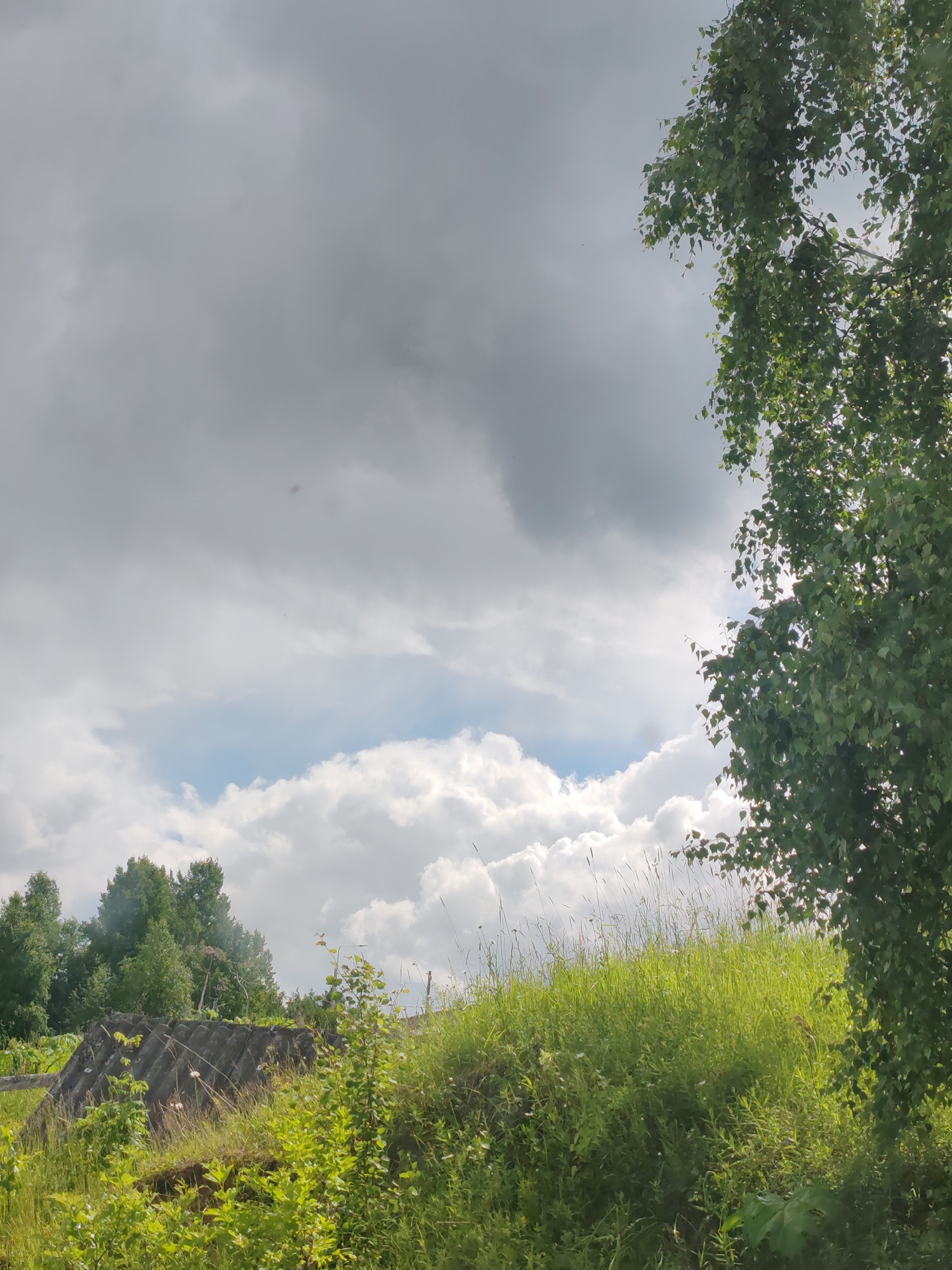 This is a photograph taken outdoors in Чухлэм, Russia. The scene depicts a grassy embankment with a cluster of trees in the background. A large, dark, corrugated object, possibly a weathered roofing material or structure, is partially visible on the left side of the embankment, partially obscured by green vegetation. The sky is partly cloudy with large, white cumulus clouds interspersed with darker, grayer cloud formations. A portion of a leafy green tree, likely a birch, is visible on the right side of the frame, its branches reaching towards the sky. The overall impression is a rural or semi-rural landscape under a dynamic sky.
