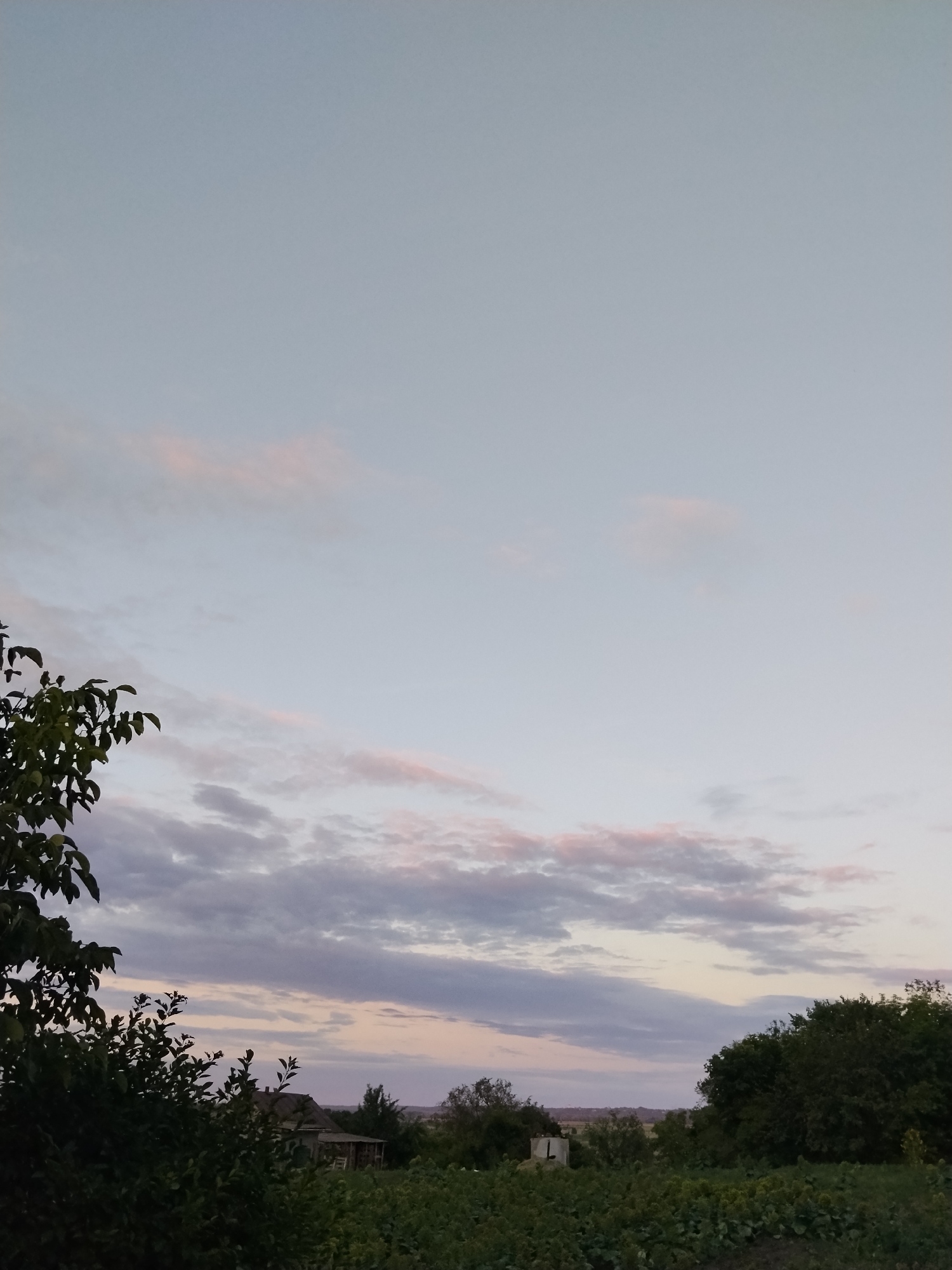 The image depicts a rural landscape at dusk, with a clear, pale blue sky dominating the upper portion. Wispy clouds with hints of pink and purple are scattered across the horizon, suggesting the fading light of sunset. In the foreground, the dark silhouettes of lush green trees and foliage obscure much of the lower part of the scene. A few buildings, appearing somewhat dilapidated, are visible nestled among the trees and greenery in the middle ground. The overall impression is one of a quiet, serene evening in a rural setting, likely in Ustyvytsia, Ukraine, given the context provided. There are no people visible in the image, and no actions or interactions are taking place. The environment is natural and appears undisturbed.