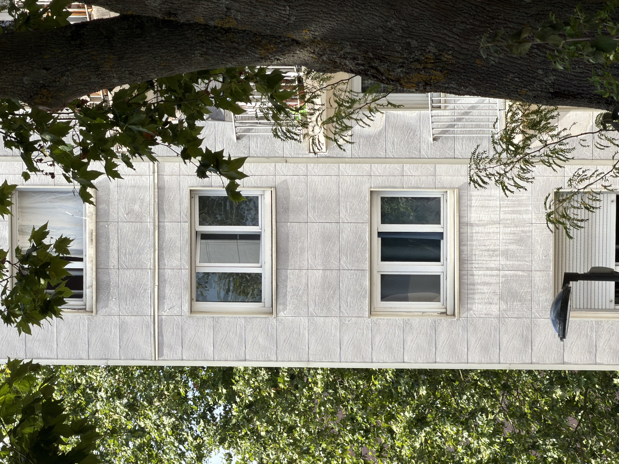 This image captures an upside-down view of a building facade and surrounding foliage. The building is clad in light-colored, textured tiles, with three visible windows. The windows are rectangular with white frames. The left-most window appears to be covered by a translucent material, possibly plastic sheeting. The other two windows show reflections of the sky and possibly some interior elements. Above the windows, a balcony railing is visible, suggesting the building has multiple stories.
Overhanging the building from the top of the frame is a thick tree branch with rough bark. Green leaves from this tree partially obscure the upper portion of the building. Below the building, a dense canopy of green leaves from another tree fills the bottom of the frame, creating a stark contrast with the building's architecture. The overall impression is one of nature encroaching on a man-made structure.
The lighting suggests it is daytime, with sunlight casting shadows and highlighting the textures of the building and tree bark. The weather appears to be fair, with a clear sky implied by the reflections in the windows. There is no visible text in the image. The scene is likely a residential or commercial building in an urban or suburban setting in Évry-Courcouronnes, France. The upside-down perspective adds an unusual and somewhat disorienting element to the composition.