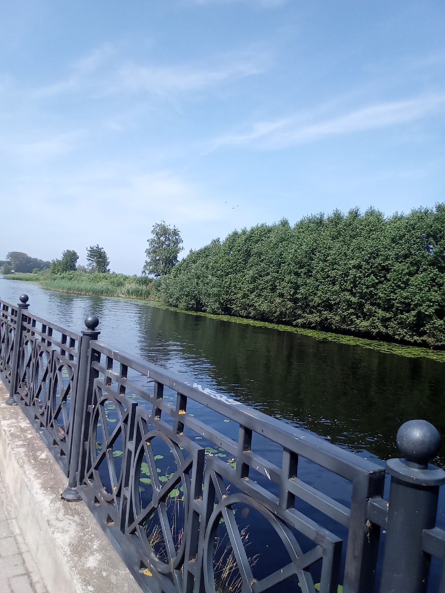 The image depicts a scenic view of a river with a decorative metal railing in the foreground. The railing is made of dark metal with an intricate circular pattern. Beyond the railing, a calm river flows, reflecting the clear blue sky. On the opposite bank of the river, a dense line of green trees forms a natural border, with some reeds and smaller trees visible in the distance. The sky is bright blue with wispy white clouds. The scene appears to be a public walkway or embankment in the city of Belozersk, Russia, likely during daylight hours in a temperate season. There are no people or animals visible in the image.