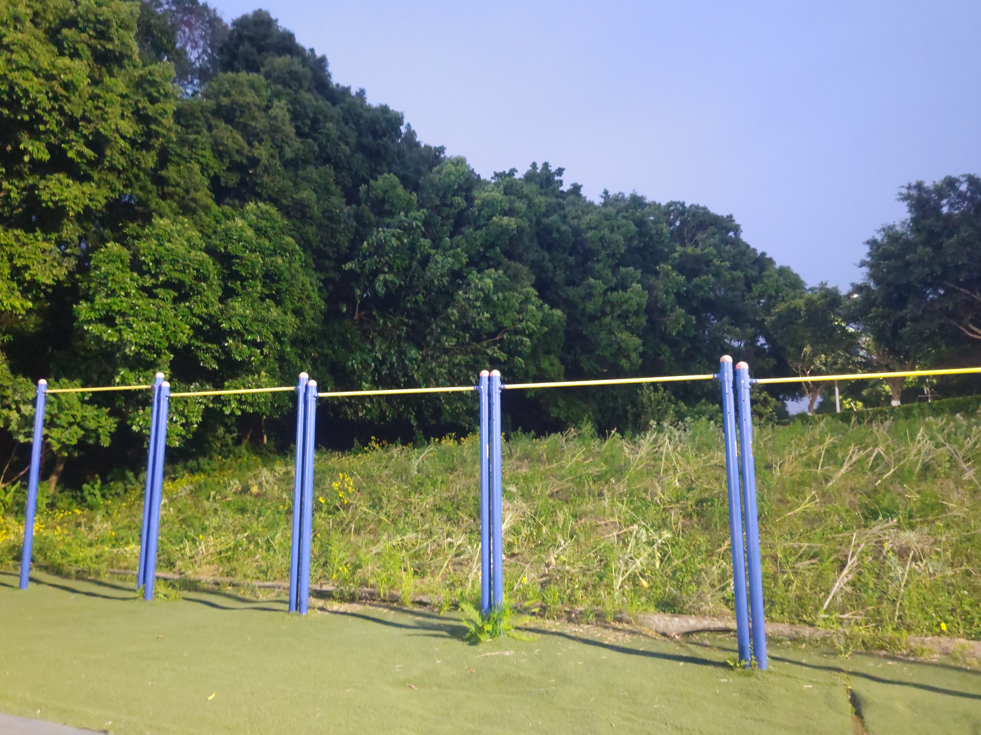 The image depicts a calisthenics park in the Chongqing High-tech Zone, China. There is a series of blue parallel bars with a yellow rail running across the top. The ground is covered in artificial green turf. Behind the bars, there is an overgrown area with grass, weeds, and yellow wildflowers. Dense green trees form a backdrop to the scene, with the sky visible above them. There are no people visible in the image. The light suggests it may be evening or early morning.