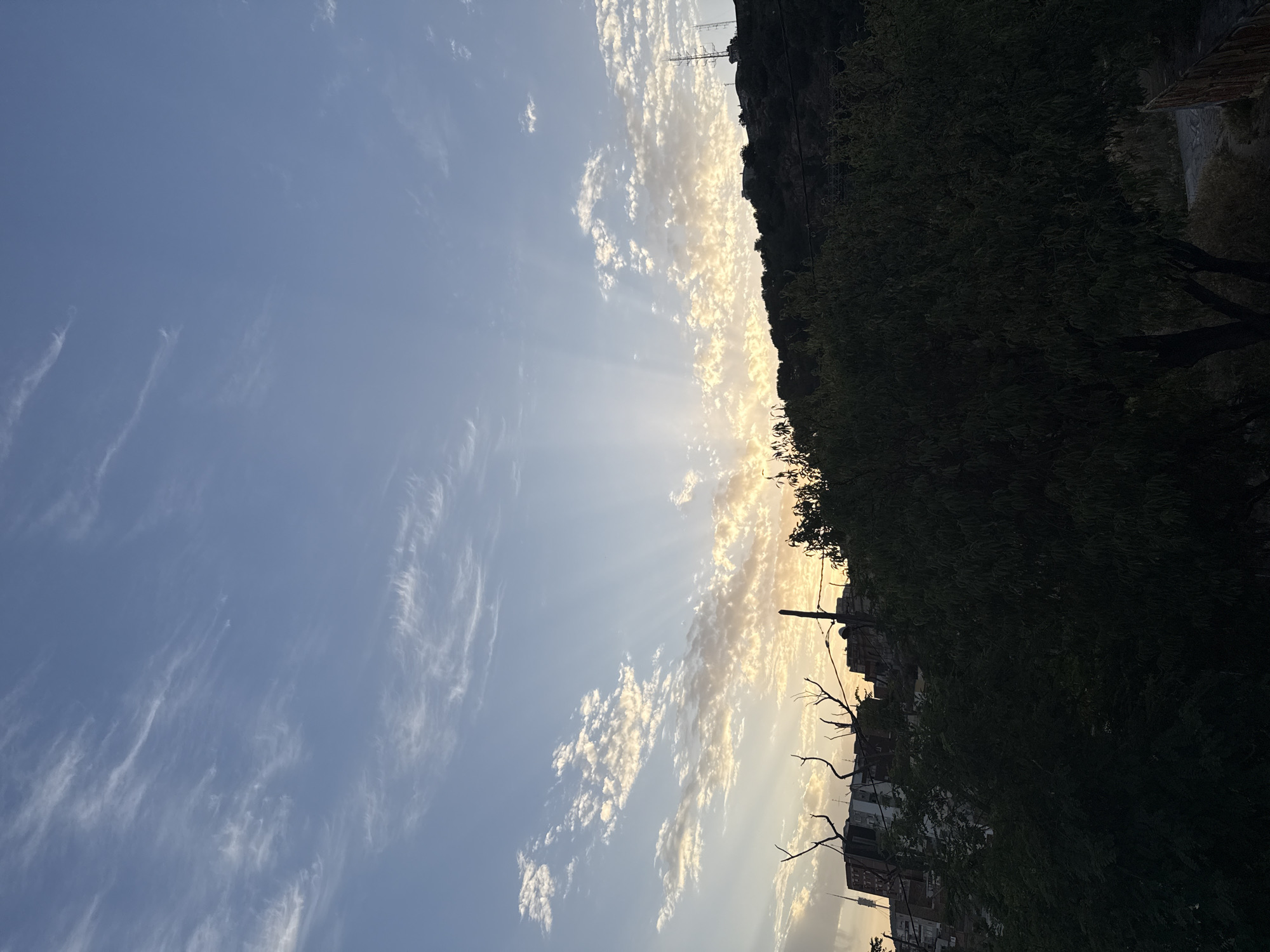 The image depicts a twilight scene in Barcelona, Spain, viewed from a slightly elevated position, possibly a balcony or window. The sky is a gradient of blues and whites, with wispy clouds scattered across it. Sunbeams fan out from behind a distant hill, illuminating parts of the clouds with a warm, golden glow.
In the middle ground, a verdant hillside is covered in trees, with buildings and structures visible peeking through the foliage. The architecture suggests an urban environment, possibly a residential area built on the slopes of a hill. Two prominent telecommunications towers stand atop the hill, silhouetted against the sky.
In the foreground, a dense cluster of dark green trees dominates the lower portion of the image, obscuring much of the lower cityscape. Bare tree branches, stark and dark, extend from the left side, creating a natural framing effect. The overall impression is one of a tranquil evening in a city that blends natural landscapes with urban development. There are no people visible in the scene.