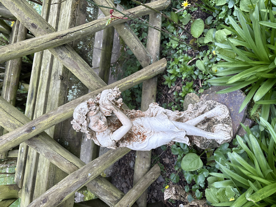The image displays an outdoor garden scene in Stiperstones, United Kingdom, centered on a weathered light-grey statue of a female figure. The statue, depicting a young woman or maiden, is positioned leaning slightly forward, with her head resting on her bent right arm. Her left arm appears to be holding a cluster of floral elements or draped cloth against her chest. Her legs are crossed at the ankles, and she is barefoot. Her hair is long and adorned with a detailed floral wreath. The statue exhibits extensive reddish-brown discoloration and staining, particularly on the torso, arms, and hair, suggesting age and environmental exposure. It stands on an irregular, dark grey stone base, partially covered by moss.
The immediate foreground and ground around the statue consist of dark soil, interspersed with various green plants. To the left, there are clumps of broad-leaved green foliage. To the right, slender, blade-like green plants are visible, along with smaller green ground cover and scattered small yellow flowers. A thin, reddish stem with small red leaves, possibly from a shrub, extends upwards on the right side.
In the background, a rustic wooden trellis or fence is prominent, constructed from aged wooden logs or branches arranged in a diagonal, criss-cross pattern. The wood shows signs of weathering, including patches of green lichen or moss and visible fasteners. The overall scene is illuminated by natural, soft daylight.