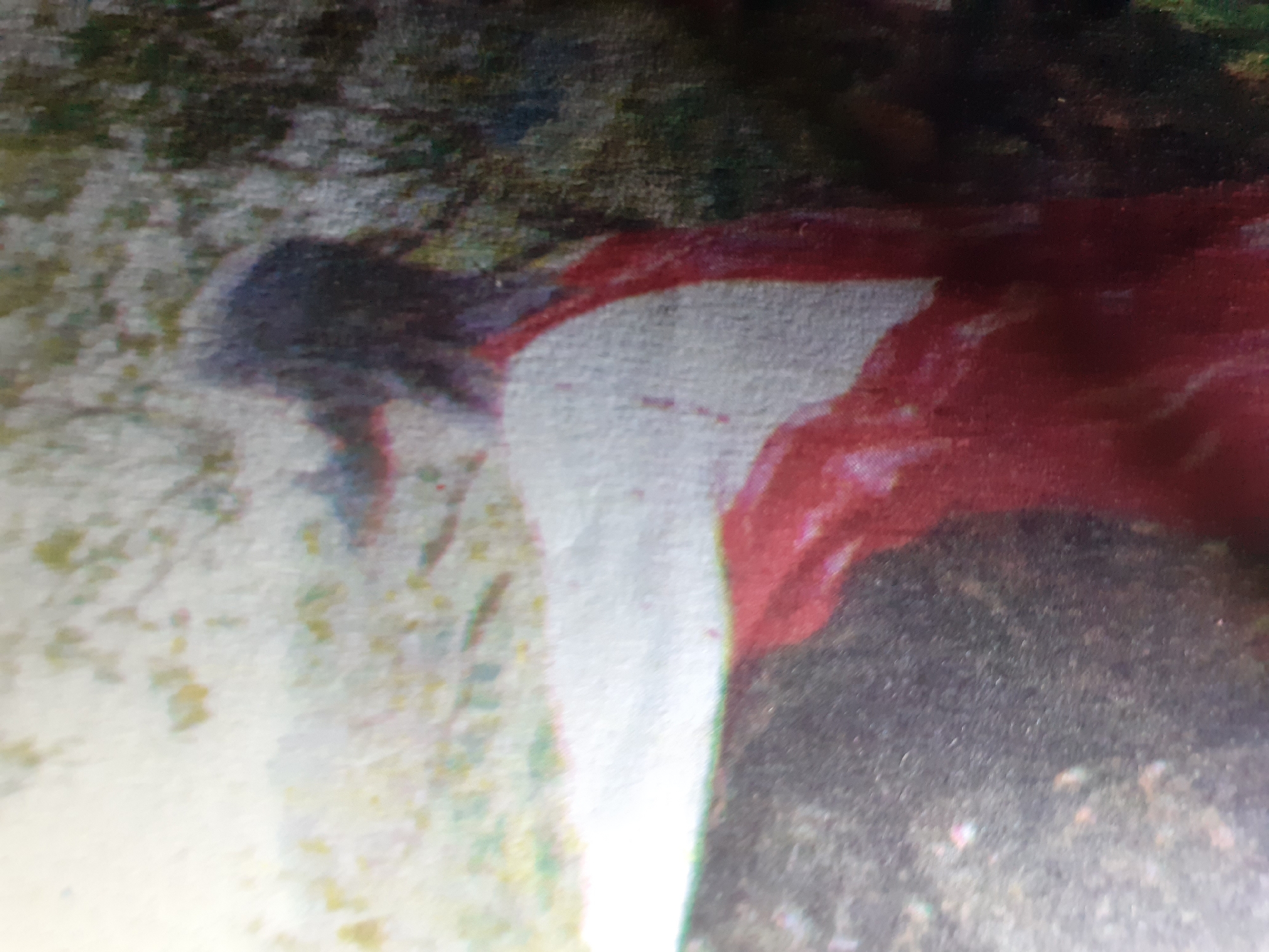 The image is a close-up, out-of-focus photograph of what appears to be a person or figure dressed in red and white fabric, possibly a garment or a sheet. The figure is partially obscured by a dark, textured surface on the left and a lighter, mottled background with green and yellow hues on the right. The lighting is uneven, with some areas appearing bright and others shadowed. The context or location of this image within Jalingo, Nigeria, is not discernible from the visual information provided.