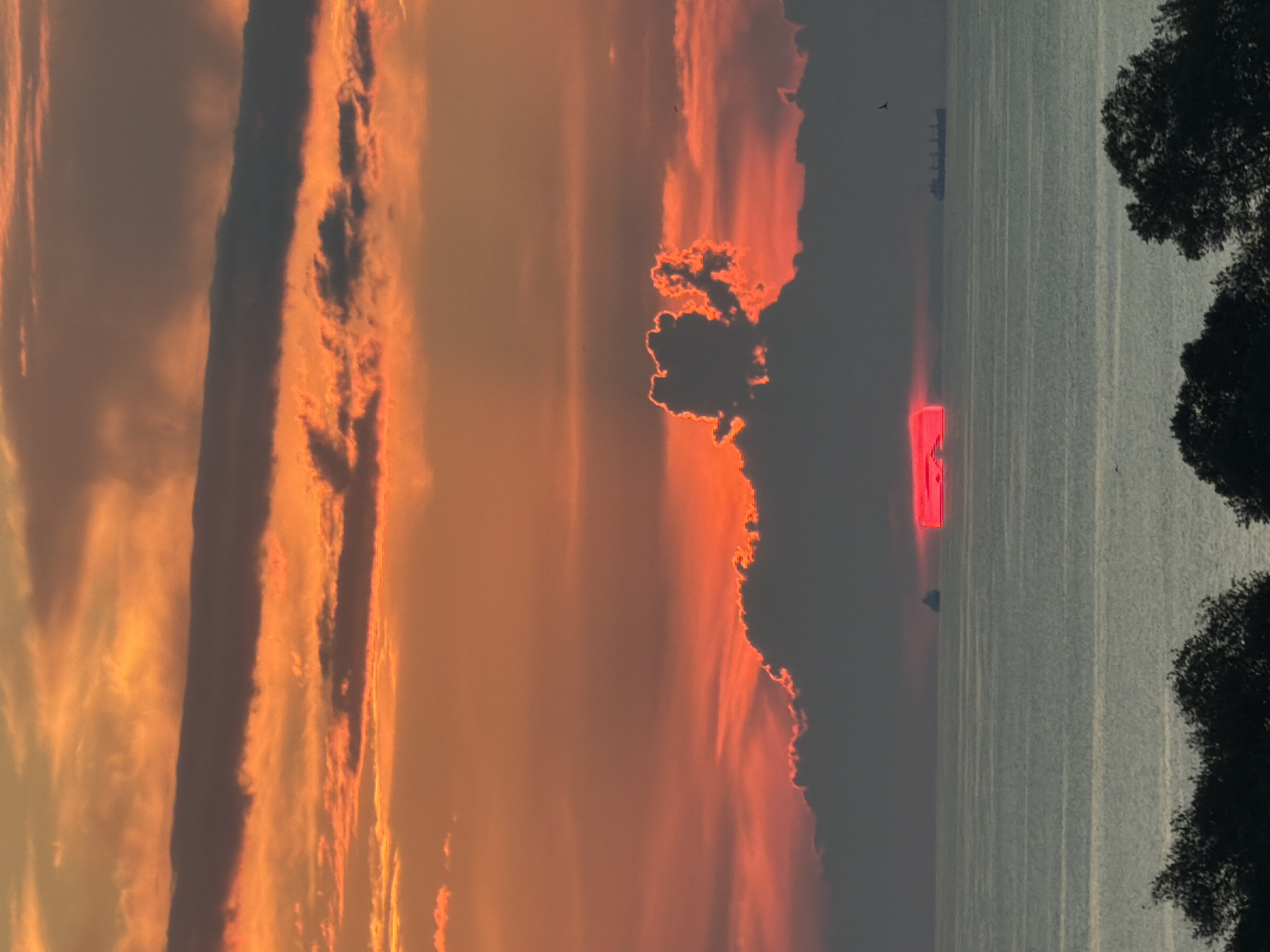 A serene, wide-angle shot captures a vibrant sunset over a calm body of water. The sky is ablaze with hues of orange and red, transitioning into softer yellows and muted greys near the horizon. Several layers of clouds are visible, some dark and ominous, others wispy and illuminated by the setting sun.
The sun itself is a striking feature, appearing as a bright, rectangular band of intense red just above the water's surface. It is partially obscured by a large, dark cloud formation that juts out into the sky, its edges tinged with the sun's fiery glow.
In the distance, a few large ships are visible on the water, appearing as dark silhouettes against the lighter backdrop of the sea and sky. The water is calm, with subtle horizontal lines indicating gentle ripples or light reflections.
In the foreground, the dark silhouettes of trees line the bottom of the frame, their branches creating a natural border to the expansive seascape. The overall mood of the image is one of dramatic natural beauty and tranquility.