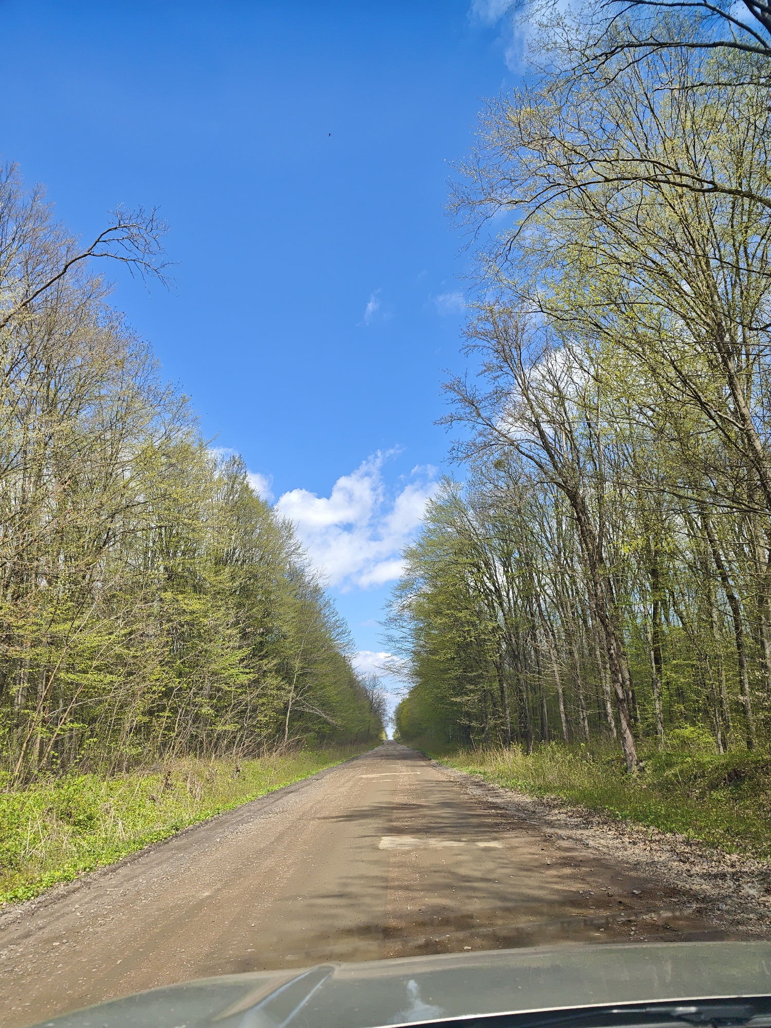 The image shows a dirt road leading through a forest on a sunny day. The sky is blue with scattered white clouds. Trees line both sides of the road, displaying early spring foliage. The road surface is uneven with patches of light and shadow. The bottom of the image shows the hood of a vehicle, suggesting the photo was taken from inside a car. The location, Khrinivka, Ukraine, is not evident from the image itself. There are no people visible.