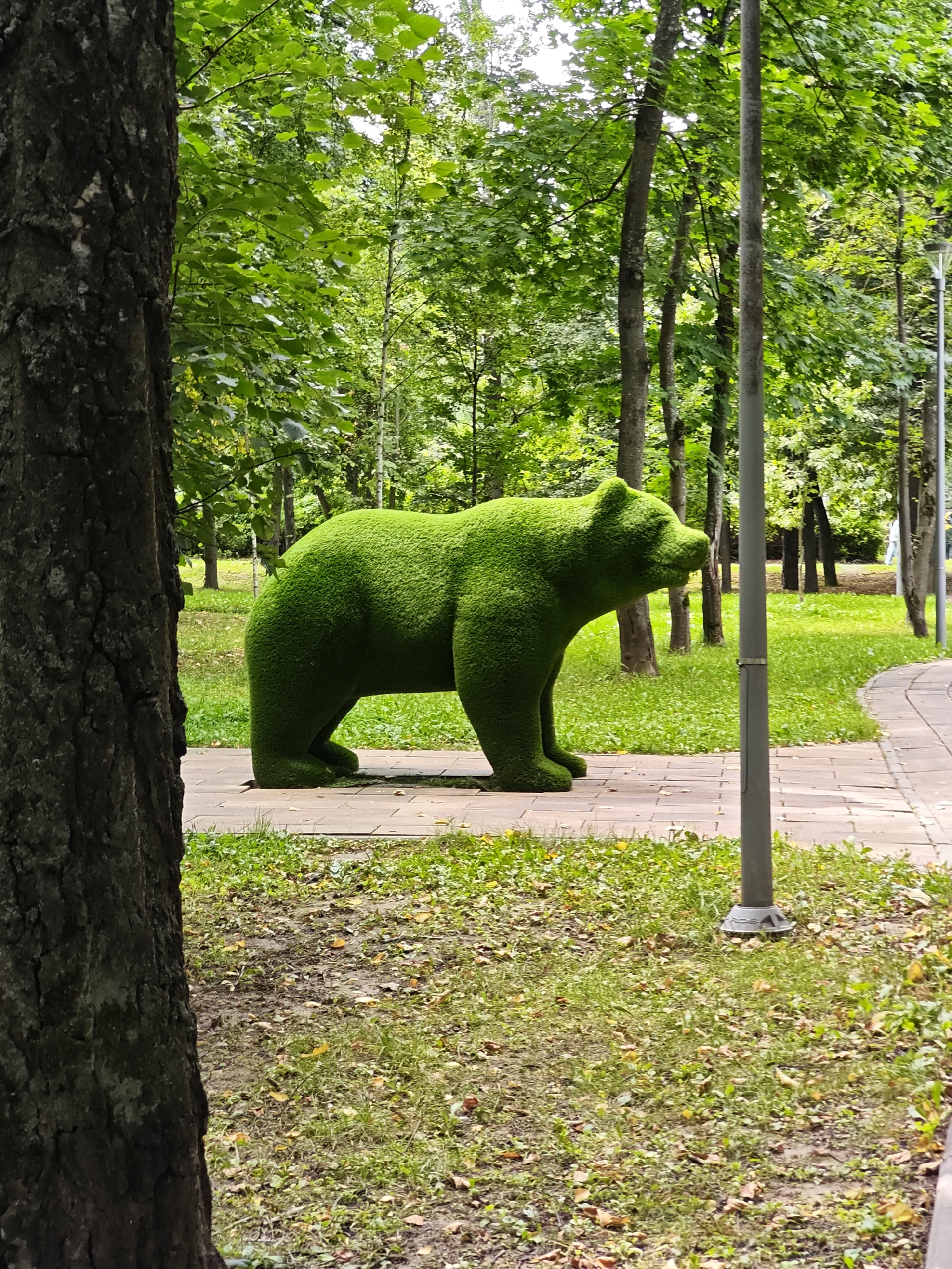 An outdoor medium shot shows a topiary sculpture of a bear in a park in Shcherbinka, Russia. The bear sculpture is green and stands on a paved walkway. It is facing to the right and has its head lowered. The bear is covered in what appears to be artificial turf. The background is a park with trees and grass. There is a lamppost to the right of the bear. The ground is covered in grass and fallen leaves, suggesting it may be autumn. The lighting is natural and appears to be daylight.