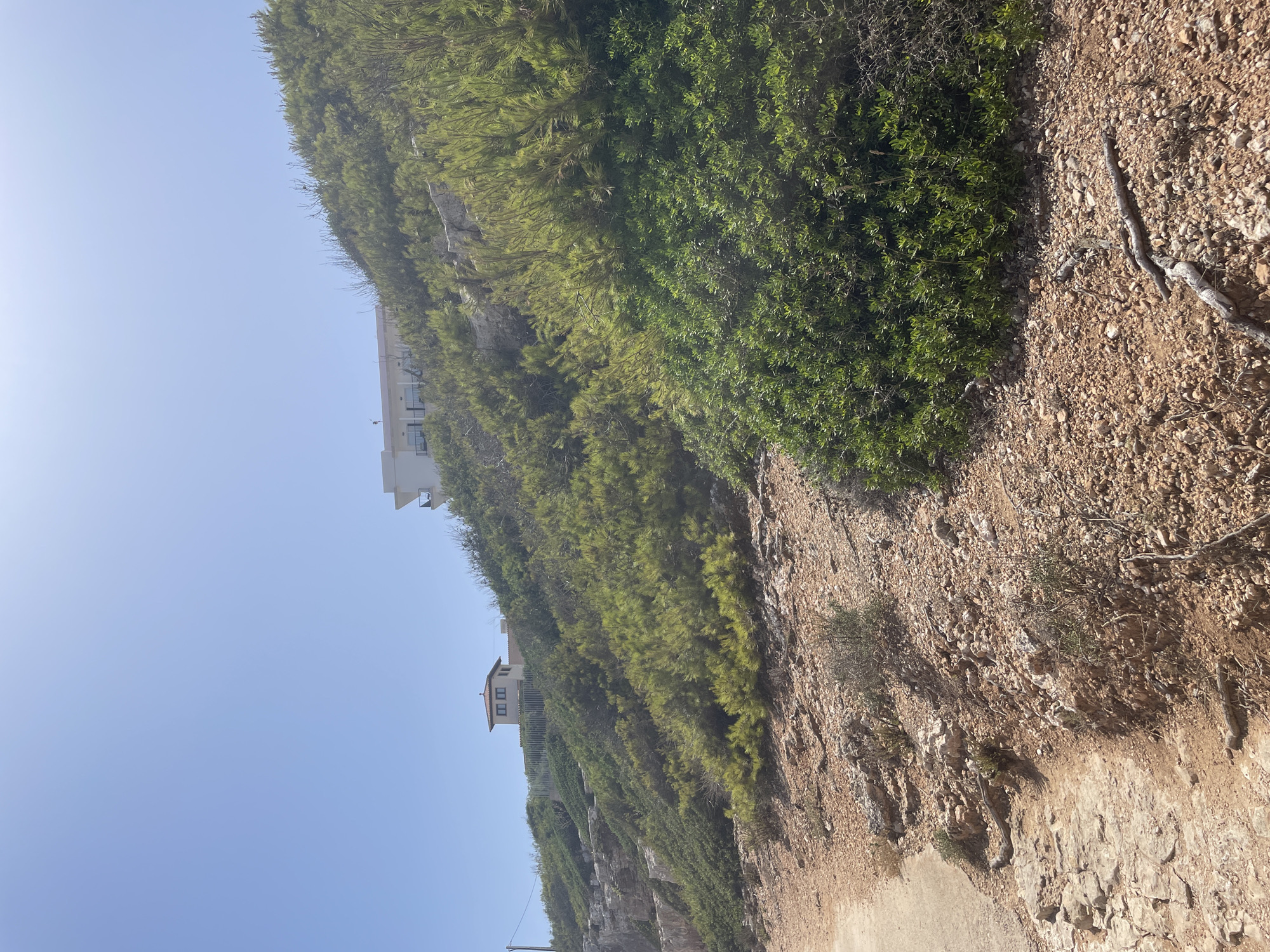 The image depicts a sunlit, arid hillside covered in sparse vegetation and rocky terrain, sloping upwards towards a bright blue sky. A paved path is visible on the left side of the frame, leading up the incline. Further up the hill, two modern buildings are partially obscured by the foliage; a smaller, two-story structure with a red-tiled roof and dark-framed windows is situated on the left, while a larger, white building with balconies is visible on the right. The vegetation consists of low-lying green bushes and taller, pine-like trees with feathery needles. The ground is a mixture of reddish-brown soil, small stones, and scattered rocks. The scene suggests a coastal or Mediterranean environment, likely in a location like Santanyí, Spain, given the arid landscape and architecture. There are no people or animals visible in the image.