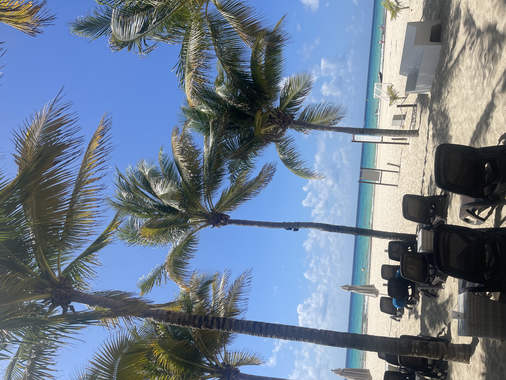 The image depicts a beach scene in Playa del Carmen, Mexico. Several palm trees frame the view of a white sandy beach, turquoise water, and a partly cloudy sky. There are beach chairs and umbrellas set up, indicating a resort or recreational area. In the distance, other people can be seen walking on the beach and swimming in the ocean. White furniture is set up in an area along the beach.