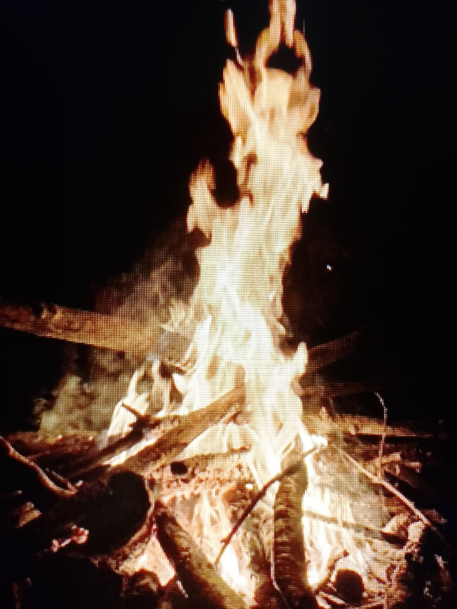 A nighttime view of a bonfire comprised of logs and kindling in an unknown location. The fire burns intensely, with flames reaching upwards against a dark background.