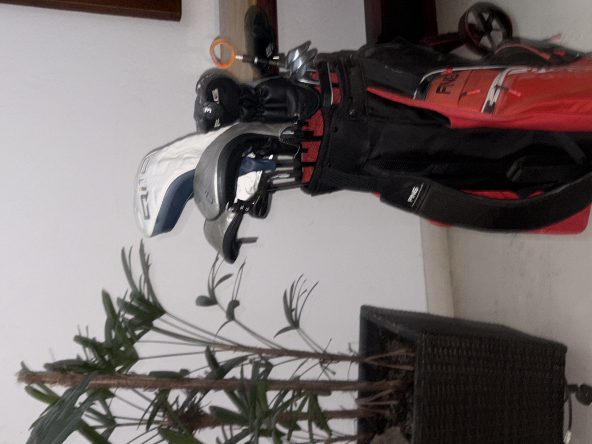 The image, captured in San Bernardino Tlaxcalancingo, Mexico, presents an indoor scene featuring golf equipment and a houseplant. The photograph is oriented horizontally, depicting objects that would naturally be upright against a white wall.
The main subject is a black and red golf bag, positioned centrally, containing several golf clubs. Visible clubs include drivers or woods with head covers; one white and blue head cover shows partial text that appears to be "RNG," while a black head cover clearly displays "9 F." Other metal club heads are also visible. An orange ring-shaped accessory is attached near the top of the golf club shafts. The brand name "PING" is prominently visible on the black shoulder strap of the golf bag and also on the red panel of the bag.
To the lower left of the frame, a green houseplant with multiple slender stalks and elongated leaves grows from a dark brown, woven pot. A wooden frame or shelf is partially visible along the top edge of the image, and a black, spoked wheel, likely from a golf trolley, can be seen in the upper right corner.
No people are present in the image, and no specific activity is taking place; the scene primarily suggests the storage of golf gear within an indoor setting, possibly a home, indicated by the presence of the houseplant. The lighting is ambient, characteristic of an indoor environment.