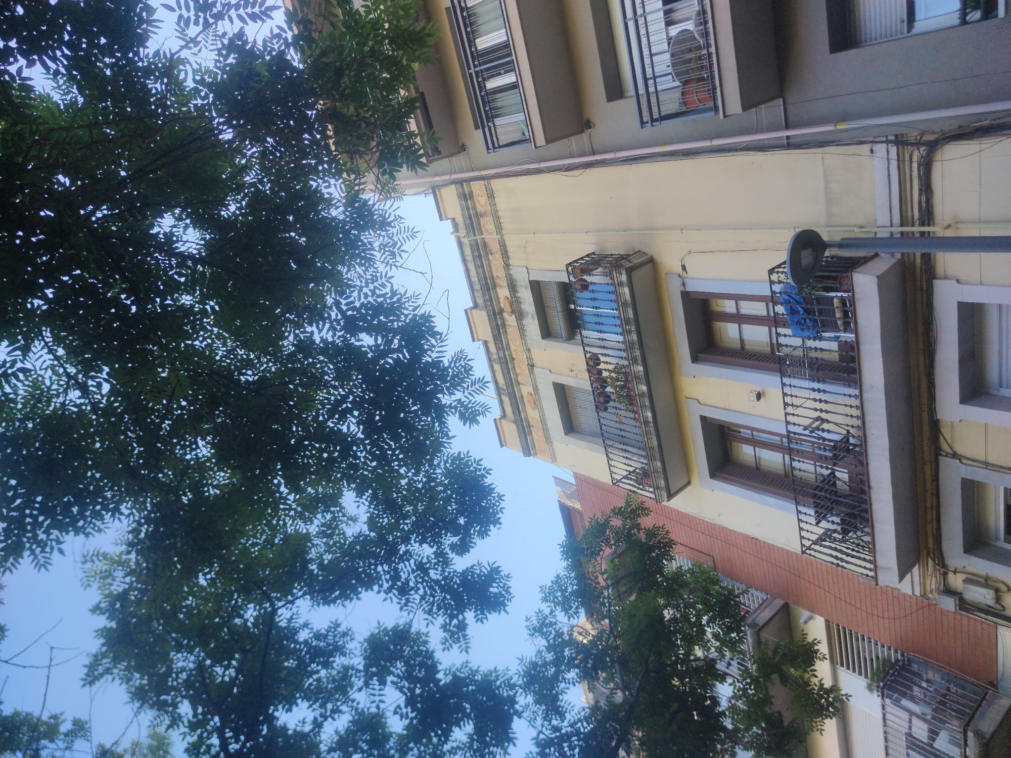 The image shows a view looking up at buildings, partially obscured by trees. The buildings are multi-story with balconies and windows. The sky is visible through the branches of the trees. A street light is also visible. The location is in a city.