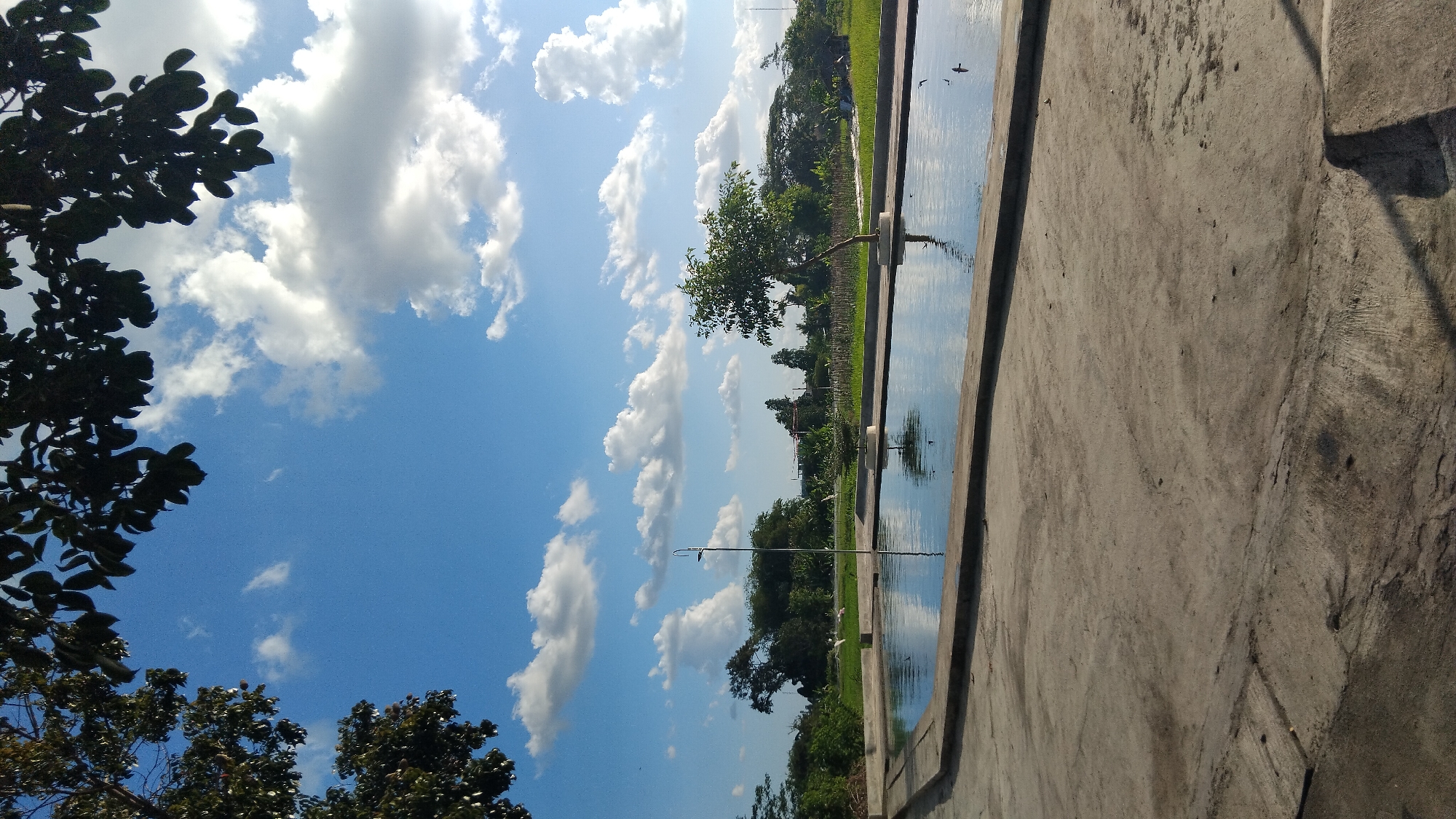 The image depicts an outdoor scene, possibly a park or recreational area, in Ngaglik, Indonesia. The foreground is dominated by a smooth, gray concrete surface. In the midground, a rectangular pool of water is visible, reflecting the blue sky and white clouds above. The water's surface is disturbed by ripples, and small birds can be seen in flight above it. Along the edge of the pool, there are concrete borders. Beyond the pool, a lush green field stretches into the distance, dotted with various trees and some structures that suggest agricultural activity or rural dwellings. A solitary, slender tree stands in the middle of the field, its reflection visible in the water. The sky is a vibrant blue, with fluffy white clouds scattered across it, illuminated by sunlight. Overhead, tree branches with dark green leaves frame the top portion of the image. The scene conveys a sense of tranquility and natural beauty.