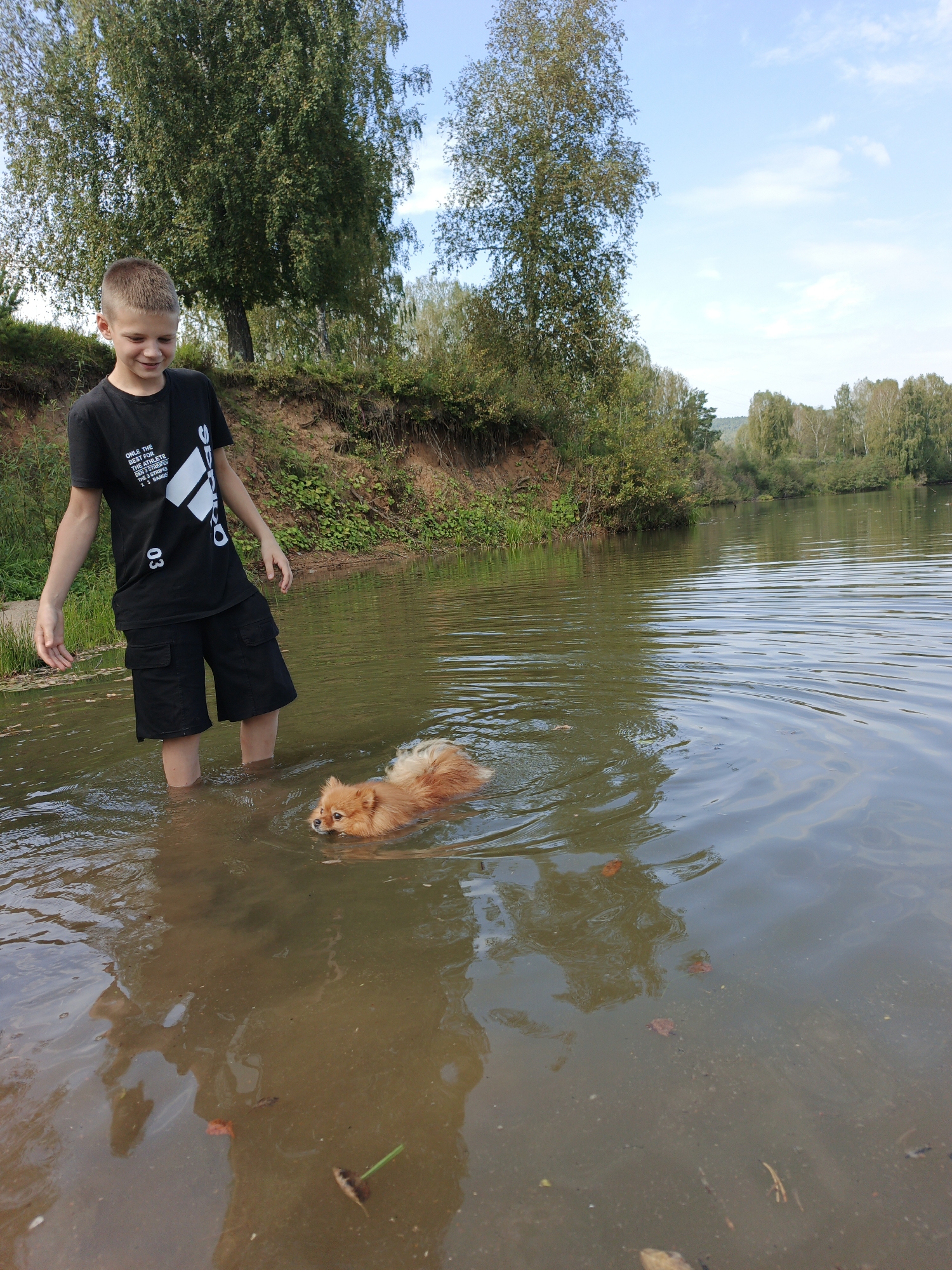 A boy in a black t-shirt and black shorts stands in shallow water near a riverbank. A small, fluffy orange dog is swimming in the water to his right. The boy appears to be looking down at the dog, and his left hand is extended towards the water. The riverbank is lined with trees and vegetation. The sky is blue with a few clouds. The scene is set in Urtiushka, Russia.