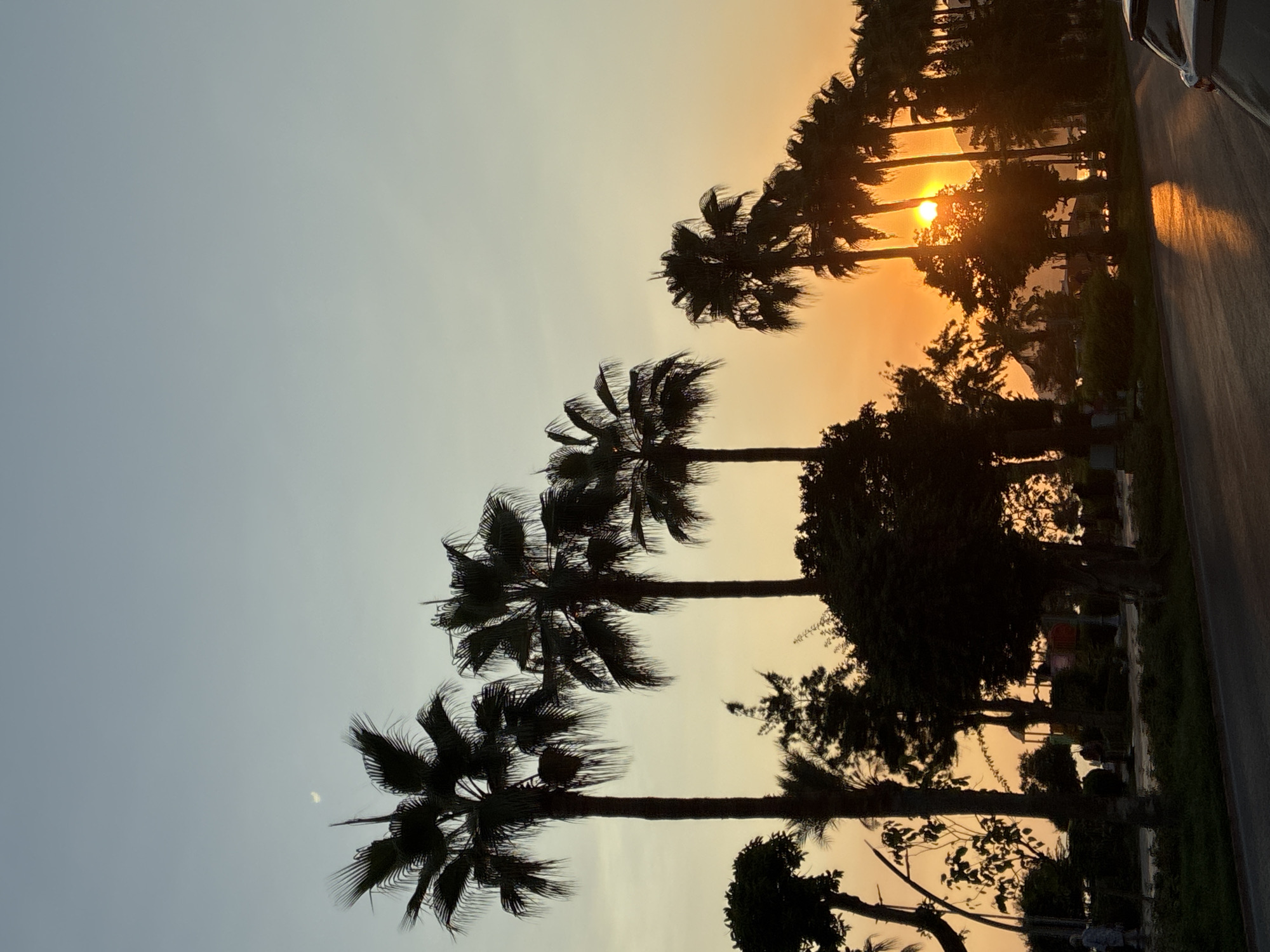 The image depicts a silhouetted scene of palm trees against a gradient sky of pale blue and warm orange, indicative of sunset or sunrise. The sun is visible as a bright orb peeking through the fronds of several palm trees on the right side of the frame. The foreground shows a paved road, likely a street or promenade, with a car partially visible in the lower right corner. The middle ground features a line of silhouetted palm trees and other foliage, with hints of a park or public space behind them, including what appear to be playground structures. The sky also contains a crescent moon in the upper left quadrant. The overall impression is of a tropical or Mediterranean coastal setting. The photograph appears to have been taken in Alanya, Turkey, given the characteristic palm trees and the coastal ambiance.