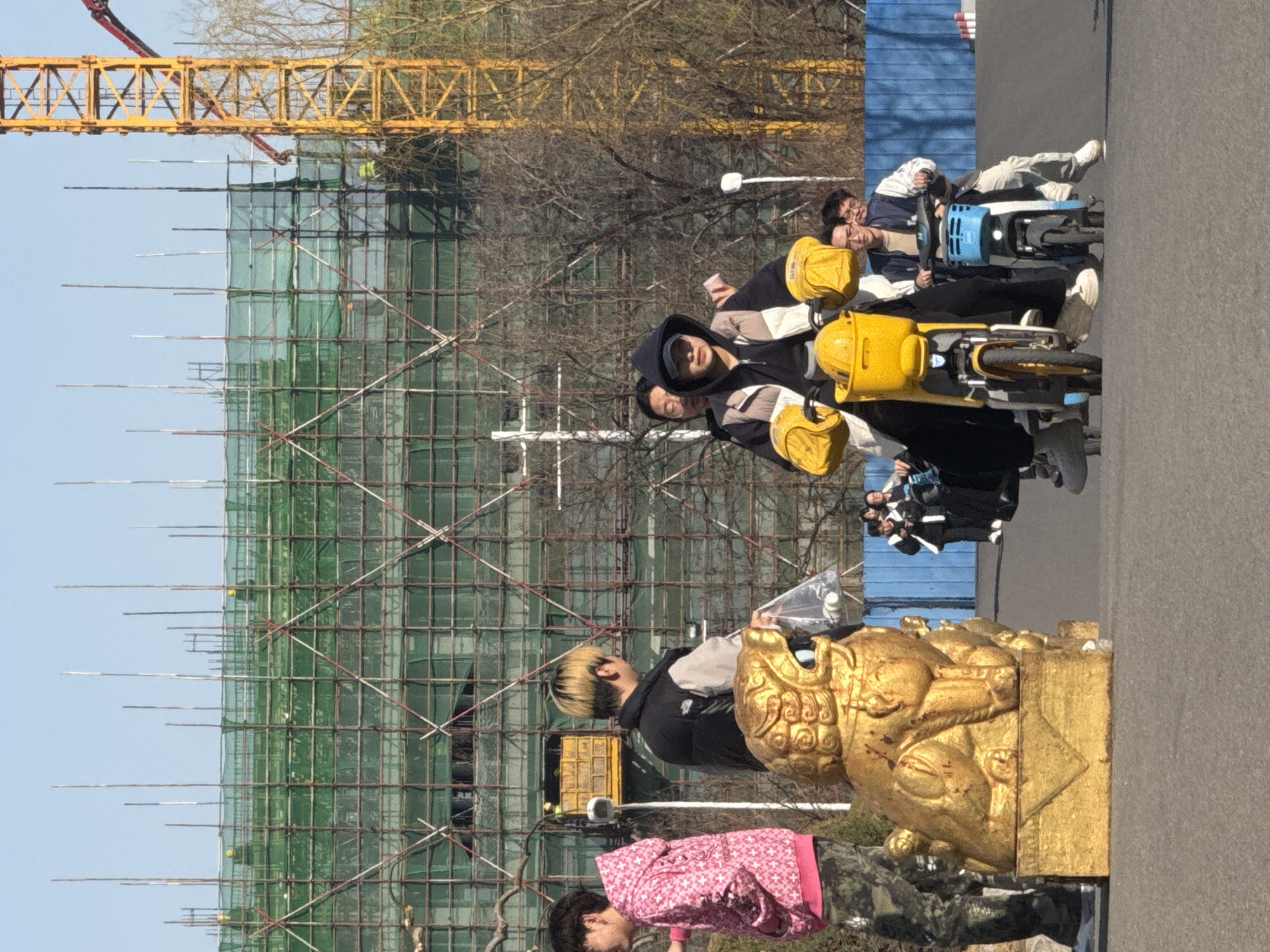 This image depicts an outdoor urban scene in Zhongtun, China, under a clear blue sky. In the immediate foreground on the left, a golden Foo Dog (guardian lion) statue rests on a golden pedestal. Two individuals stand to its right: one wearing a pink hooded sweatshirt with a white pattern and camouflage pants, and another with short, bleached blonde hair, dressed in a black puffer vest over a light long-sleeved shirt, holding a clear plastic bag containing multiple white spherical objects.
In the midground, a person wearing a dark hooded sweatshirt, a light-colored hooded vest, sunglasses, and a dark baseball cap is riding a yellow electric bicycle equipped with yellow delivery bags/containers on the handlebars, moving towards the viewer. Behind them, another individual is partially visible. To the right, a person wearing glasses, a light-colored shirt, and a dark vest is riding a blue electric bicycle.
The background features a large building under construction, extensively covered in green safety netting and scaffolding. A tall yellow tower crane is prominently visible on the right side of the construction site. Bare trees with leafless branches are interspersed throughout the background. A blue barrier runs across the right midground, partially obscuring a small group of people beyond it. The ground surface is paved asphalt.