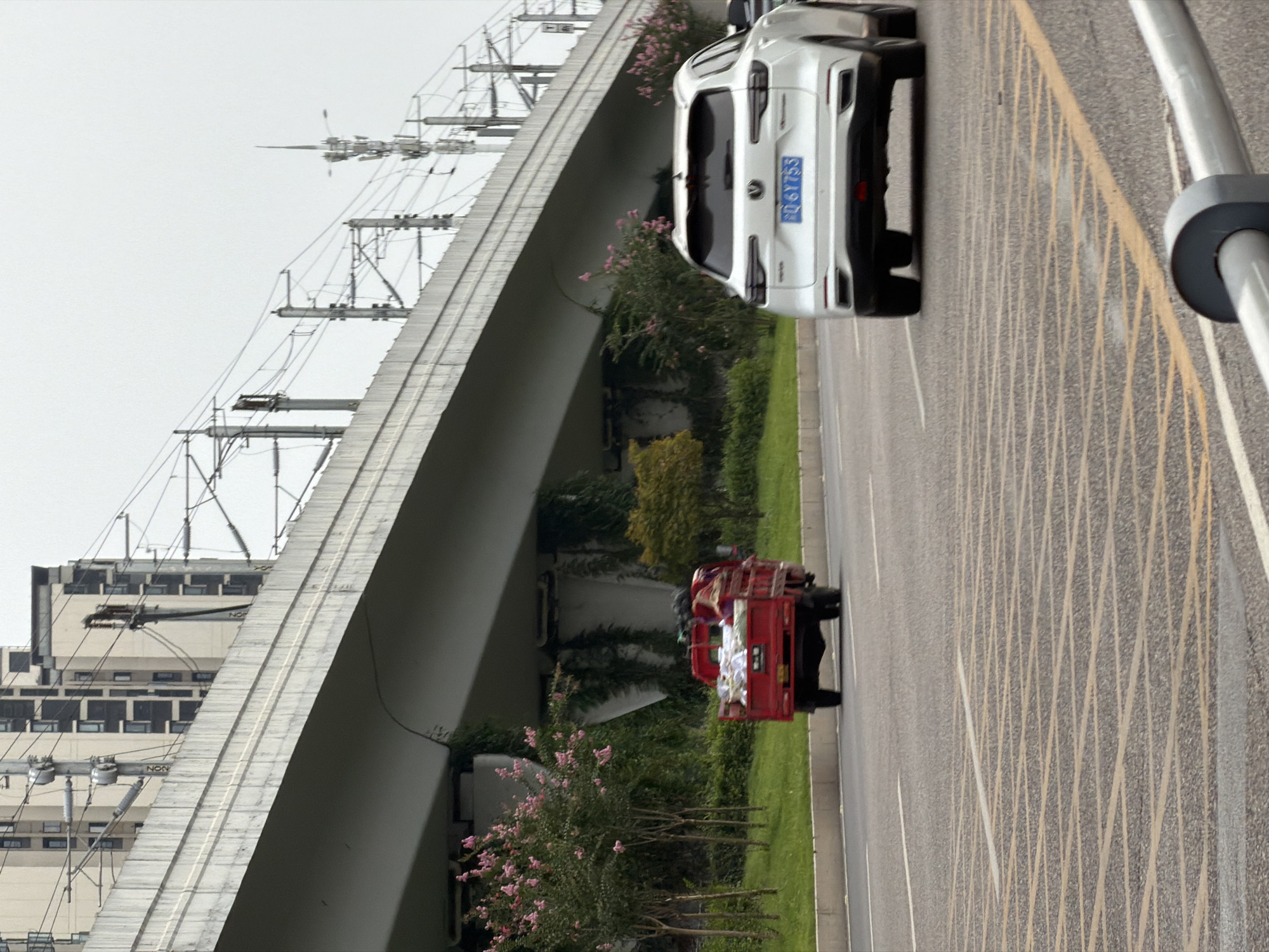 In the city of Jiangjin, China, an overcast day frames a street scene beneath an elevated structure, possibly a highway or train line. A white SUV, its license plate reading "DQ 6Y755", is in the foreground, moving right. Further down the road, a red three-wheeled truck is visible, laden with white objects and possibly other cargo covered with a dark tarp. The truck is also in motion, heading in the same direction as the SUV. The road surface is asphalt, marked with yellow lines forming a grid pattern, and a white line delineates the lanes. Trees with small pink flowers line the roadside, and lush green grass grows alongside. In the background, tall buildings and utility poles with overhead wires indicate an urban environment. The elevated structure itself is a prominent feature, made of concrete and supported by pillars, with its underside draped in vines.