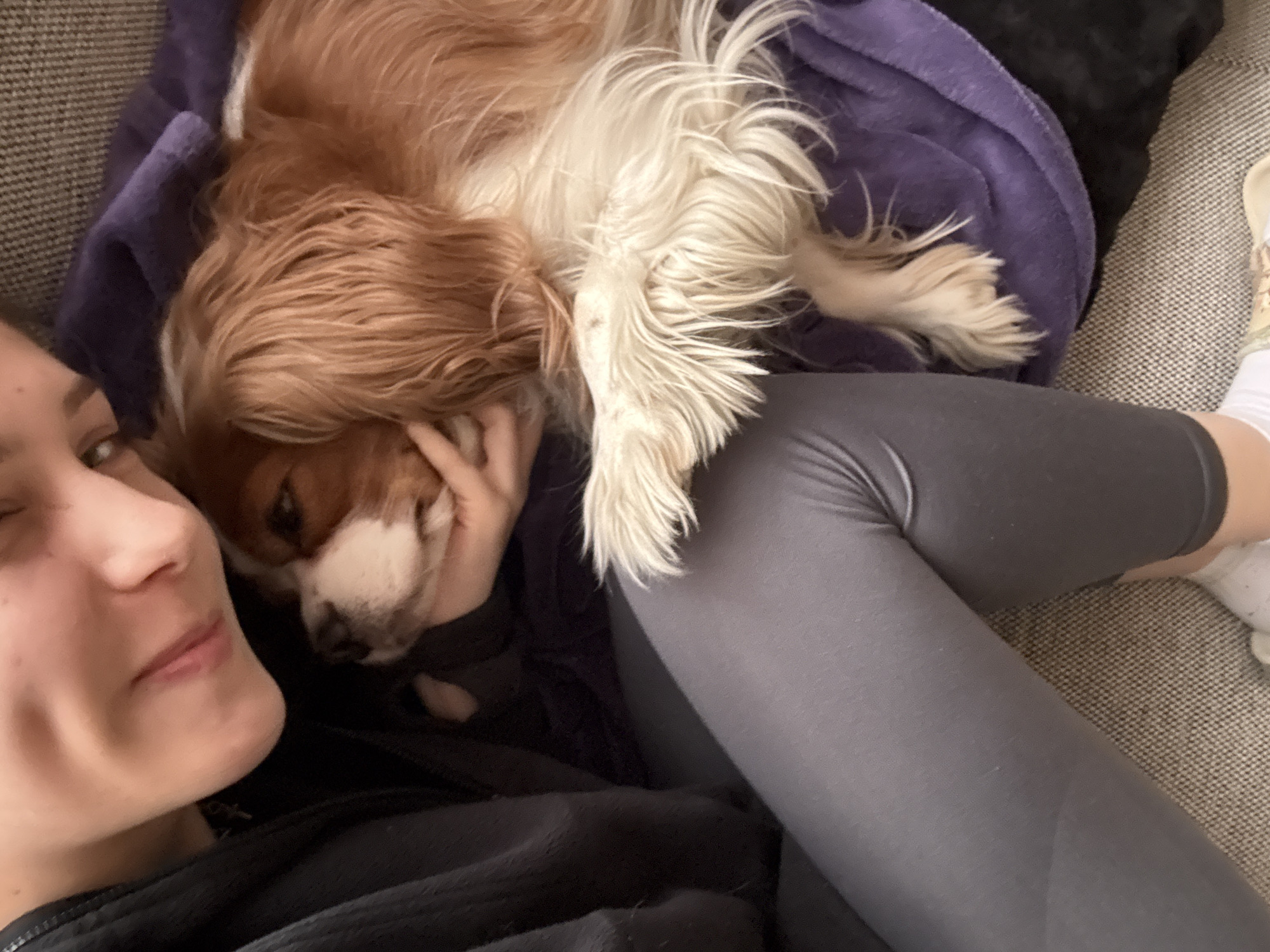 A person is lying on a couch next to a Cavalier King Charles Spaniel. The dog is mostly tan and white and is resting its head on the person's arm. The person is wearing grey leggings and a black top. A purple blanket is near the dog. The scene is indoors. There is no evidence in the image to suggest the location is Sofia, Bulgaria.