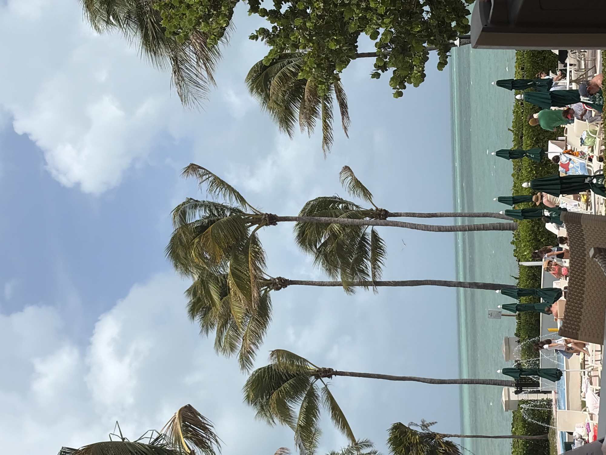 The image shows an outdoor scene in Key Biscayne, United States of America. The camera is positioned at a slight angle, looking toward a coastline. Several palm trees line the view of the ocean and sky, and white, fluffy clouds fill the blue sky. The ocean is a light greenish-blue, and along the shoreline, green umbrellas are visible, interspersed with lounge chairs and people sunbathing and relaxing. There also appears to be a pool.