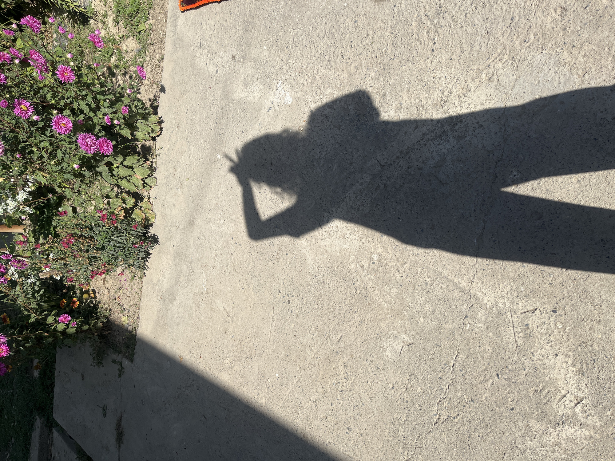 The image depicts a person's shadow cast on a concrete surface. The shadow is that of a person standing and raising one arm towards their head, with fingers extended to form a V-shape, suggesting they might be making a peace sign or gesturing. The shadow covers a significant portion of the concrete ground, indicating a bright light source, likely the sun. In the background, a flower bed with vibrant pink and red flowers is visible, along with green foliage. The concrete surface appears weathered and slightly cracked in places. The scene is set outdoors, possibly in a garden or patio area. The location is listed as Unknown, Unknown, implying no specific city or region is identified.