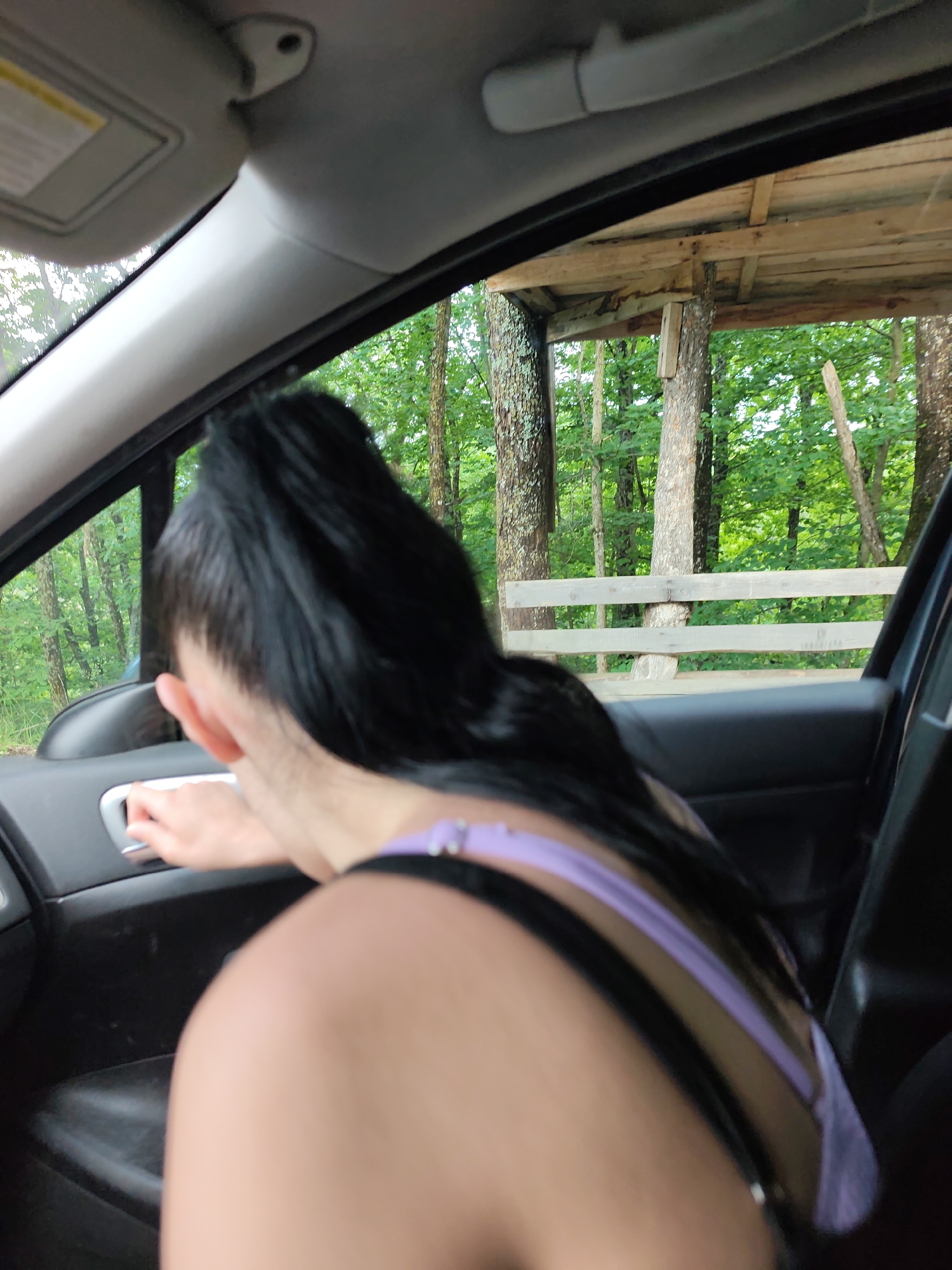 The image captures a scene from inside a car, looking out at a natural, wooded environment in Maglishta, Bulgaria. The primary subject is a person seen from behind, with dark hair tied back, leaning towards the car's passenger door. Their right hand is placed on the silver handle of the black car door. They appear to be wearing a top with light purple and black straps.
The car's interior features a light grey roof lining, a sun visor with a partially visible and unreadable yellow sticker, and an overhead grab handle. The external view through the car window reveals dense green foliage and trees, indicating a forest or park setting. In the middle ground, there is a rustic wooden structure, possibly a treehouse platform or an elevated viewing deck, built with rough timber planks and supported by tree trunks and wooden beams. A wooden fence or railing is also visible beyond the person, extending horizontally across the frame. The lighting suggests it is daytime, likely during mild weather. The overall activity depicts someone engaging with the car door while positioned in a scenic, outdoor location.