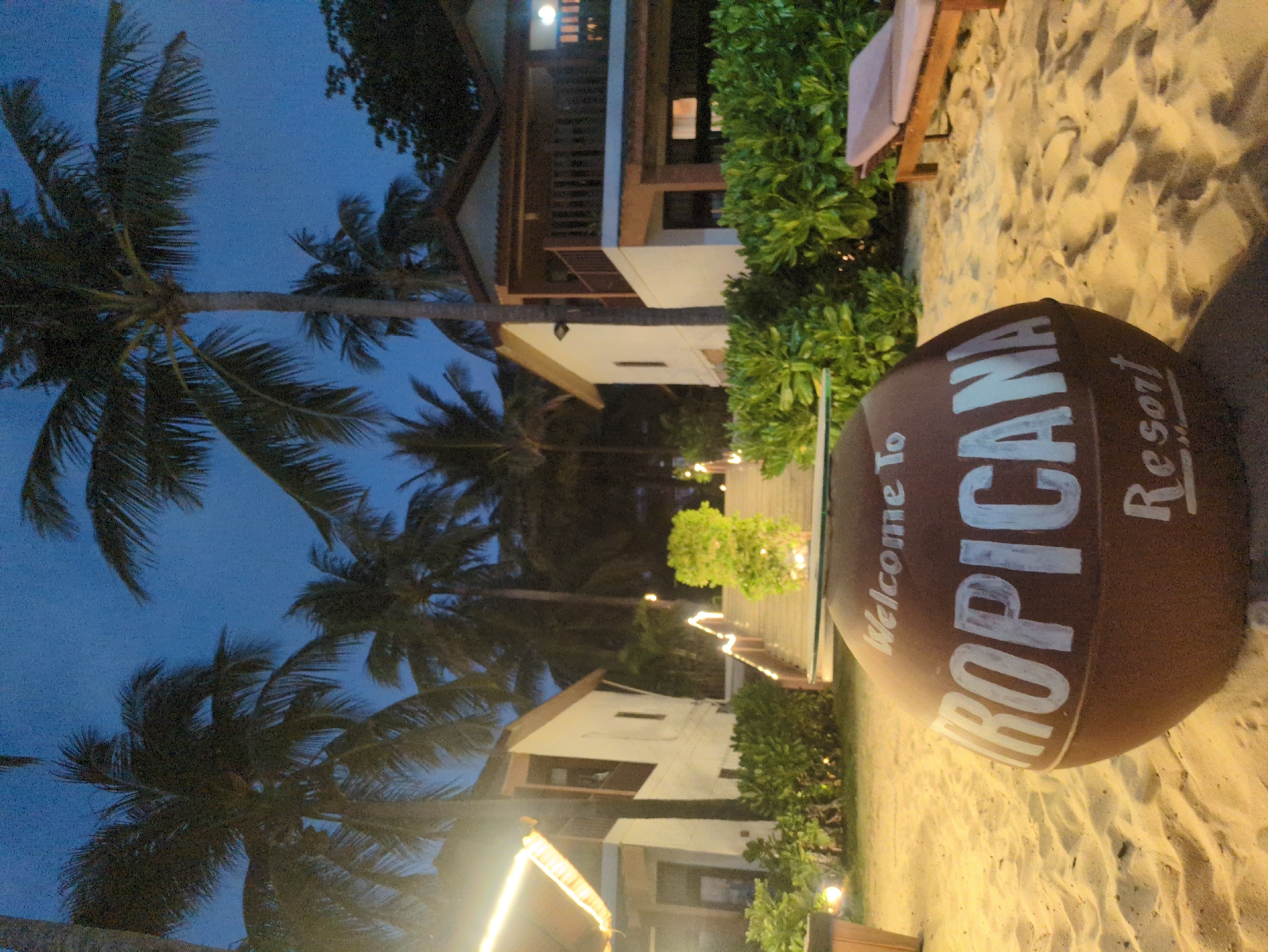 The image shows a nighttime view at Tropicana Resort in Phú Quốc, Vietnam. A large, brown, barrel-shaped sign that says "Welcome to TROPICANA Resort" is in the foreground, partially obscuring the view. The sign is placed on a sandy beach. Behind the sign, a pathway with soft lighting leads toward several buildings that appear to be accommodations. Palm trees line the area, and the sky is a deep blue. Some greenery borders the pathway and buildings. The photo captures an atmosphere suggestive of a tropical resort at dusk.