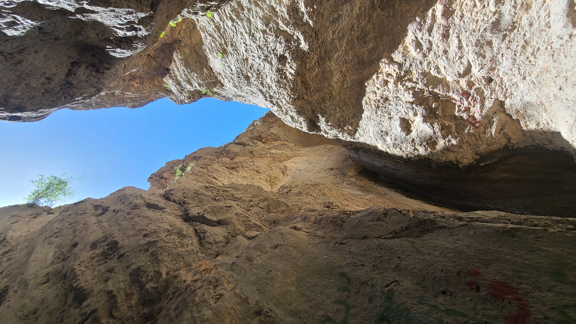 A low-angle shot inside a geological formation, possibly a canyon or a large cave, with a view of the sky. The rock formations are textured and varied in color, ranging from beige to light brown, with some darker shaded areas. Small patches of green vegetation are sparsely located on the rock faces. A tree is visible against the blue sky at the top-left. Red markings are present on the rock on the right. It is located in the city of Ziarat, Pakistan.