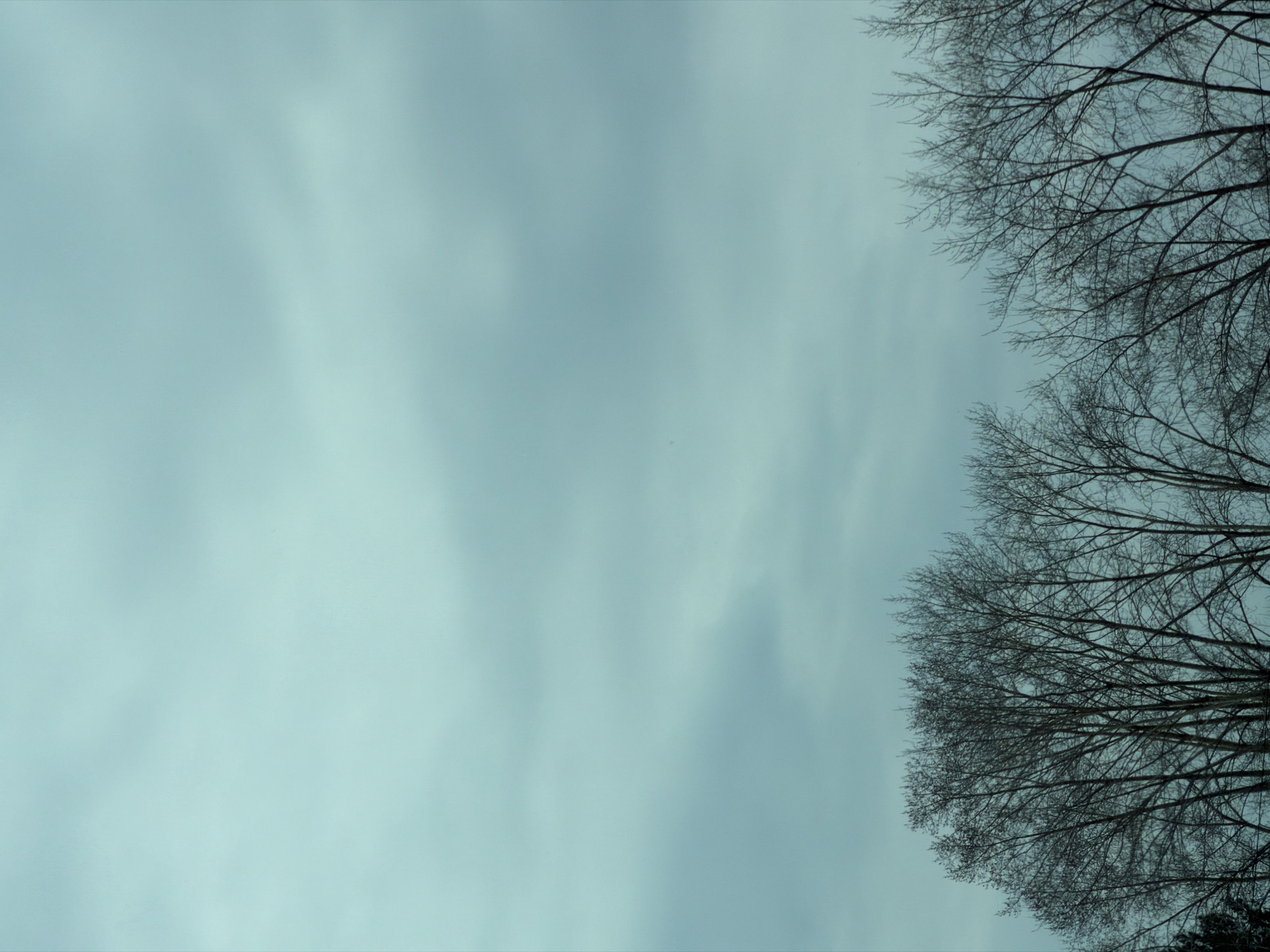 The image shows a view looking upwards, dominated by a greyish-blue sky with faint cloud patterns. Bare tree branches are visible in the upper right corner of the frame. The absence of leaves suggests a cold season, likely late autumn or winter. There are no people or animals visible. The image provides no information to place the image in Chaikovsky, Russia.