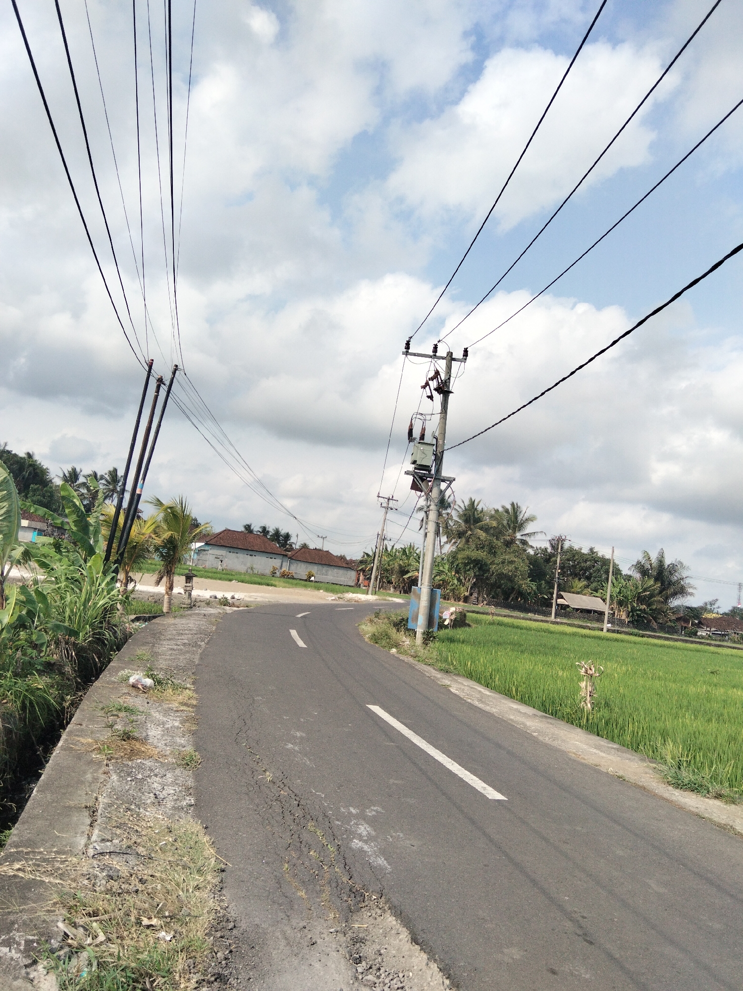 The image depicts a rural scene on a paved road in the city of Tabanan, Indonesia. The road curves to the right, with a concrete embankment on the left and a lush green rice field on the right. Several utility poles with power lines stretch across the sky, casting shadows on the road and fields. In the background, traditional Indonesian houses with red-tiled roofs are visible amidst dense vegetation, including palm trees and banana plants. The sky is partly cloudy, with patches of blue sky peeking through the white clouds. The overall impression is one of a serene, idyllic countryside setting.