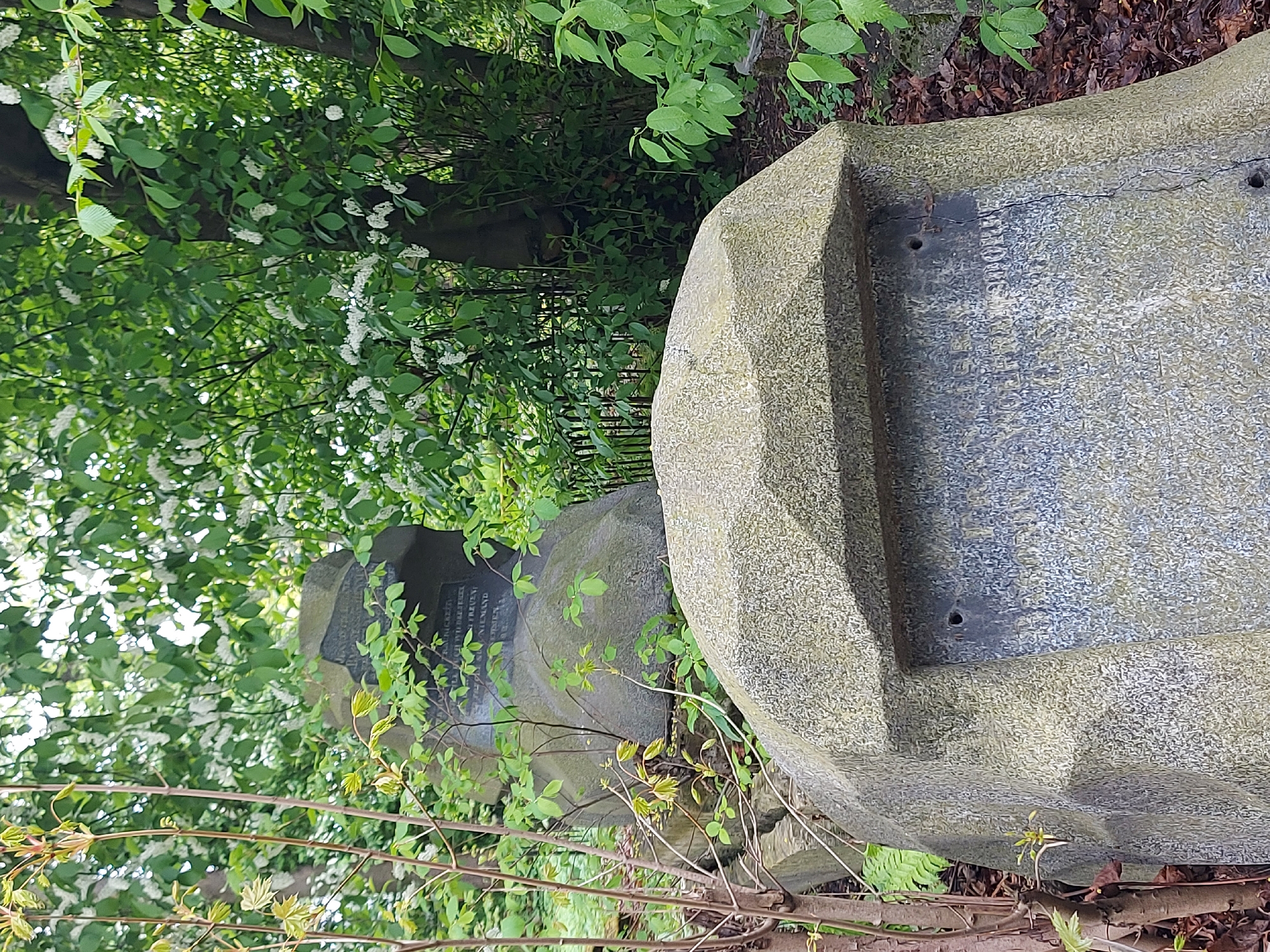 The image depicts two headstones in what appears to be a cemetery. The headstones are made of a rough-hewn stone material. One headstone is larger, and its surface has a darker rectangular plaque with what appears to be text etched into it, but the text is illegible. The smaller headstone also has a plaque with inscribed text. Green foliage, including leafy bushes and small flowering branches, surrounds the headstones. The scene is set outdoors, likely in a natural or semi-natural environment within a cemetery. Without further details, the specific location within Saint Petersburg cannot be determined.