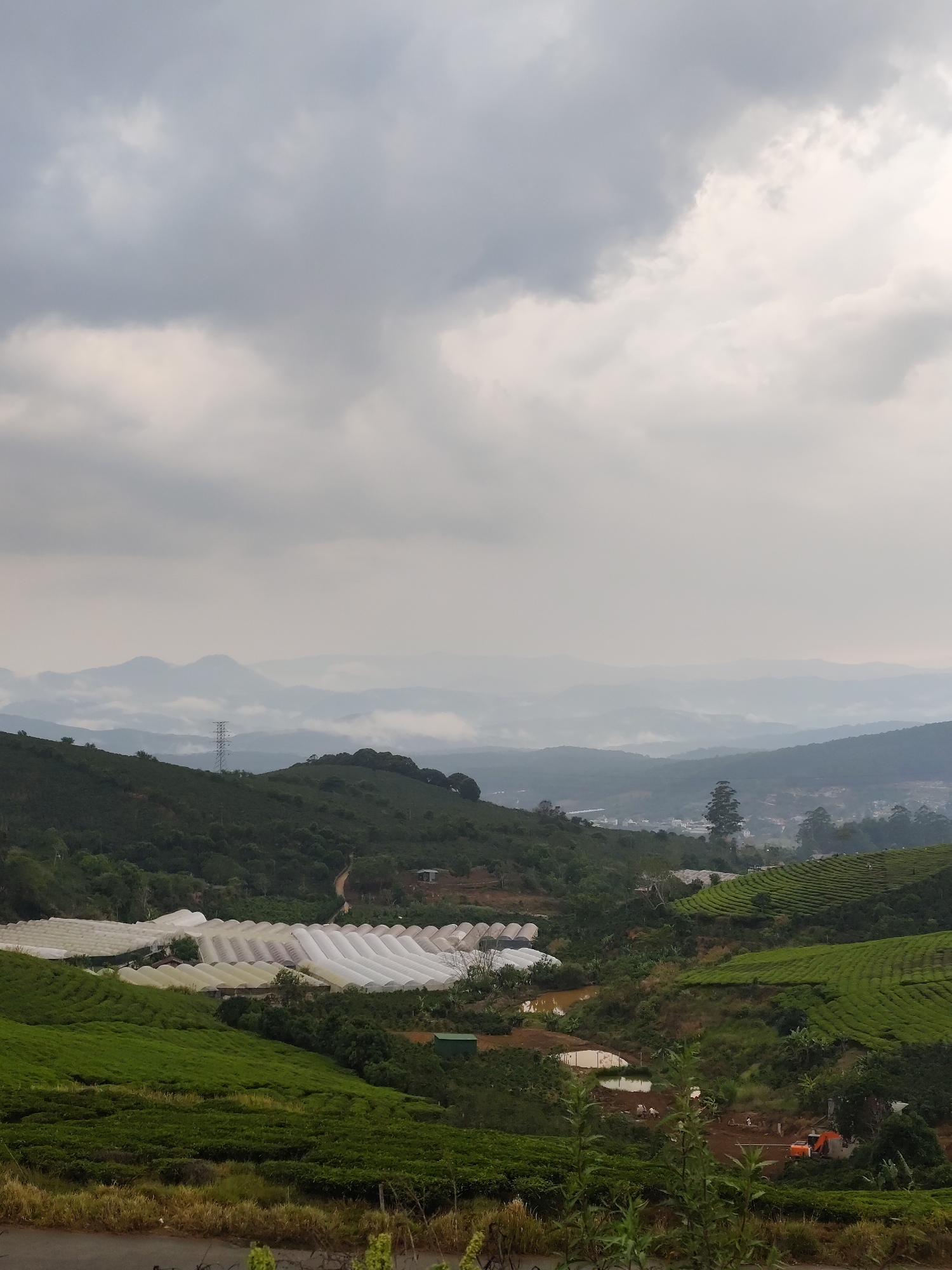 The image depicts a landscape near Trường Thọ, Vietnam, under a cloudy sky. In the background, layered mountains fade into the distance, partially obscured by mist or fog. An electrical tower is visible on one of the closer hills. The foreground and mid-ground feature rolling green hills cultivated with tea plantations and agricultural operations. Several long, white greenhouses dominate the lower left portion of the scene. A small pond and some construction, including an orange excavator, are also visible in the middle ground. The overall scene suggests an agricultural area in a mountainous region.