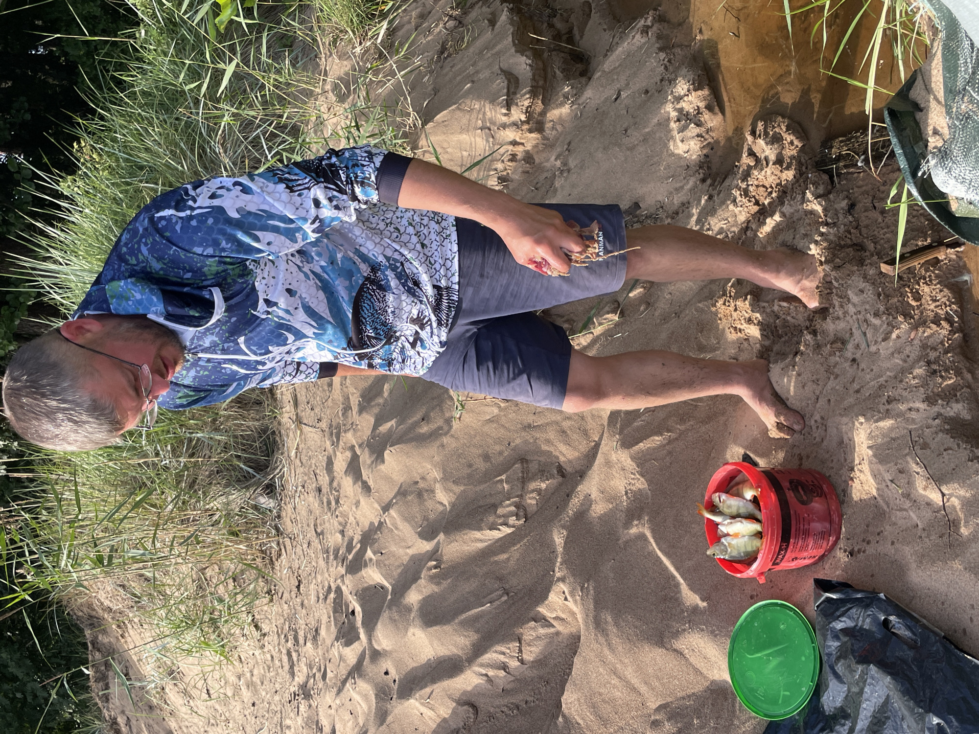 In Zelenaya Roshcha, Russia, on a sandy bank of a body of water, a man stands near a bucket of fish. He is wearing a blue and white patterned long-sleeved shirt and dark blue shorts. In his right hand, he holds a small amount of what appears to be fish entrails. Before him, a red bucket contains several small, silvery fish with orange fins. To the left of the bucket is a green plastic lid, and a black plastic bag lies on the sand. The environment is characterized by sand dunes, tall grasses, and the murky water of the shoreline.