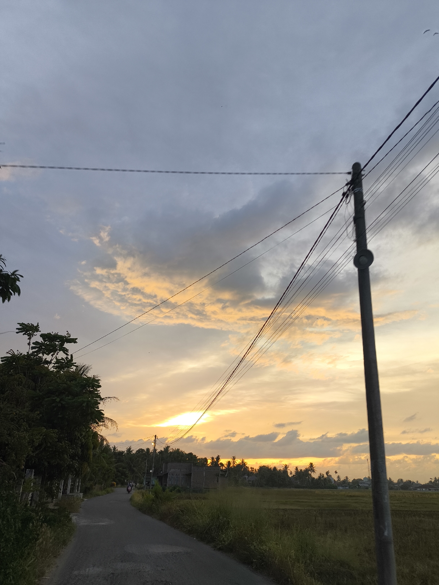 The image depicts a road in the city of Bireuenmeunasahblang, Indonesia, at dusk. A paved road curves through a rural landscape, bordered by lush vegetation and trees on the left, and a grassy field on the right. Several buildings, likely houses and a mosque, are visible in the distance, nestled among a dense cluster of palm trees. Overhead, power lines crisscross the frame, supported by a utility pole on the right side of the image. The sky is a dramatic canvas of clouds painted with hues of orange and yellow from the setting sun. A lone motorcycle rider is visible on the road in the distance. The scene is tranquil and evokes a sense of peaceful evening in the Indonesian countryside.