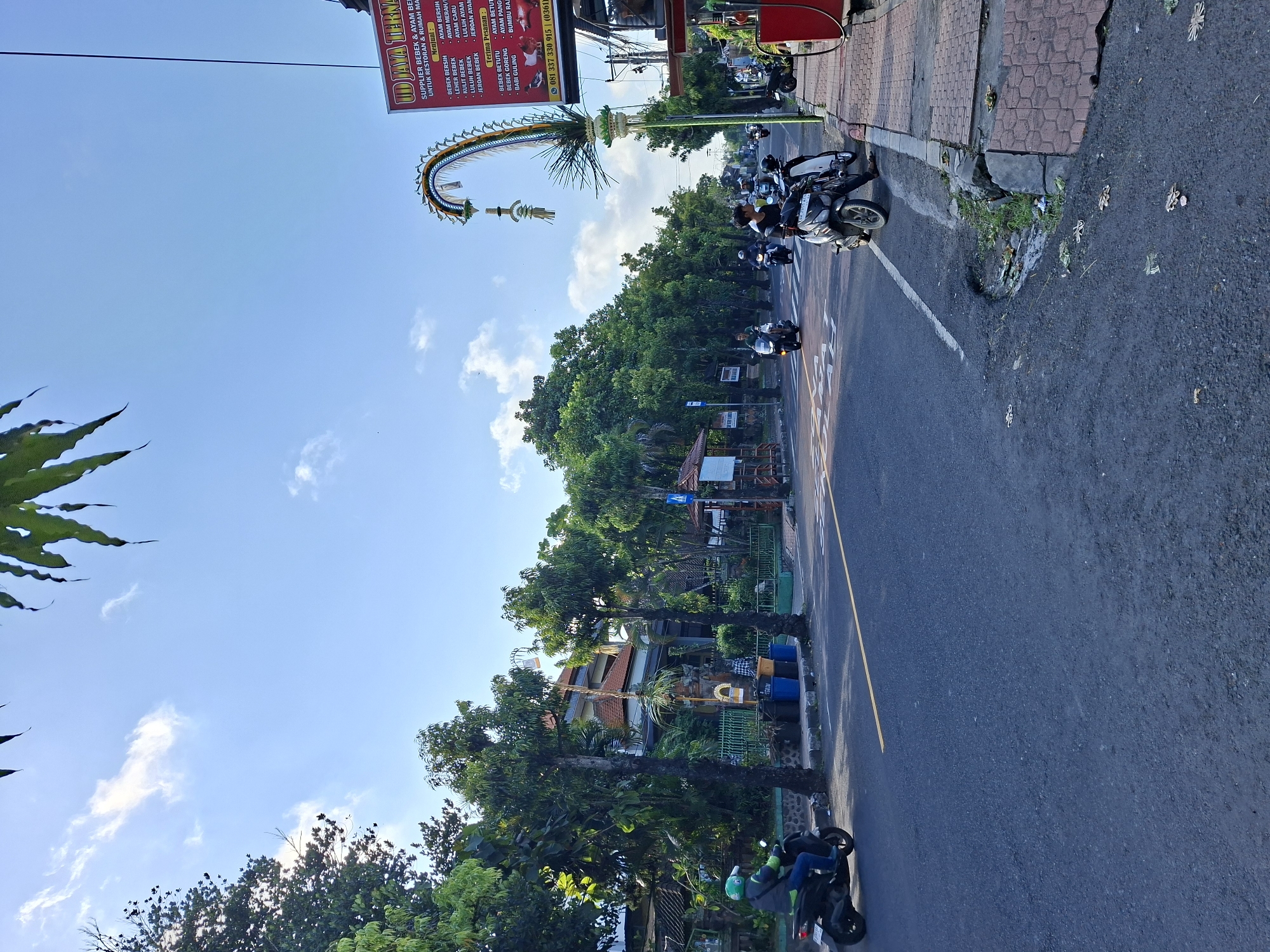 The image captures a street scene in Blahbatuh, Indonesia, under a clear blue sky with scattered white clouds. A paved road with yellow lane markings runs through the center, bordered by a sidewalk on the right and a lush green embankment with trees and buildings on the left. Several motorcycles are present on the road and parked on the sidewalk. On the left side of the road, a person wearing a green helmet and jacket rides a black scooter. Further down the road, other individuals on motorcycles are visible.
To the right, a red structure, possibly a food stall or shop, is situated next to the sidewalk. Above this, a tall, decorative archway adorned with greenery and fabric is erected, serving as signage for "UD JAYA TERNAK." This sign lists products like "BEBEK BERSIH," "AYAM BERSIH," and "BEBEK BETUTU," indicating it's a supplier of poultry for restaurants and homes. Contact information, including phone numbers, is displayed on the sign.
The environment appears to be a mix of residential and commercial areas, characterized by mature trees lining the street and traditional Balinese architecture visible in the background. There is some debris on the side of the road and sidewalk, suggesting everyday urban life. The lighting suggests it is daytime, likely morning or late afternoon, given the angle of the sun.