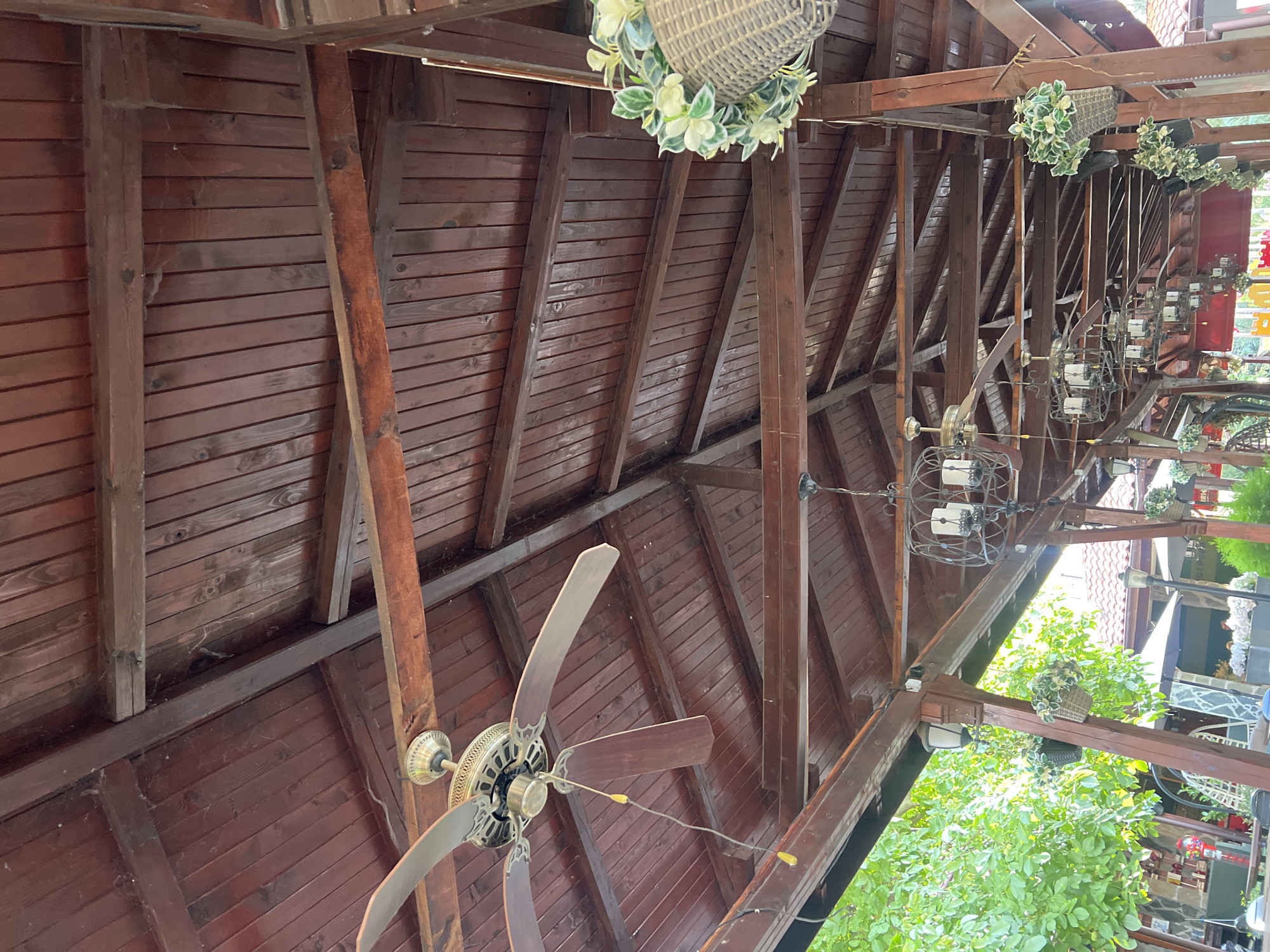 The image shows the underside of a wooden roof structure with exposed beams and wooden planking. A ceiling fan is visible on the left. Multiple decorative hanging light fixtures and hanging baskets with greenery are interspersed along the structure. The scene appears to be an outdoor covered area, possibly a restaurant or cafe patio, with trees and umbrellas visible in the background. The overall impression is of an outdoor gathering space with a rustic, natural aesthetic.