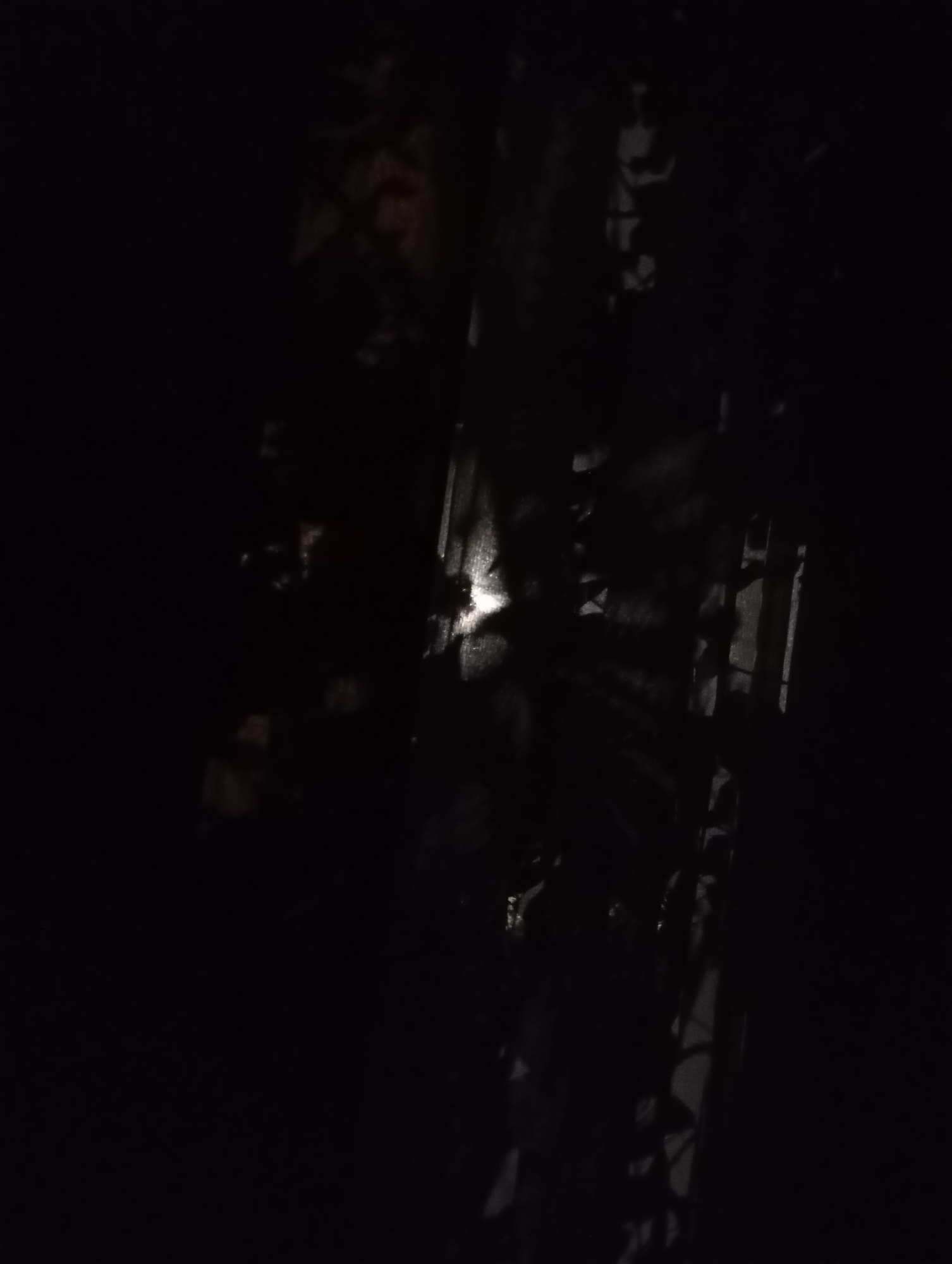 The image depicts a dimly lit, outdoor scene, likely at night, with shadows cast by vegetation or an object. In the center of the frame, a bright, circular light source is visible, possibly a lamp or a reflection. The background appears to be a textured surface, possibly a wall or a fence, with vertical elements suggesting structure. There are no people or animals clearly visible. The environment suggests a natural or urban setting that is not brightly illuminated.