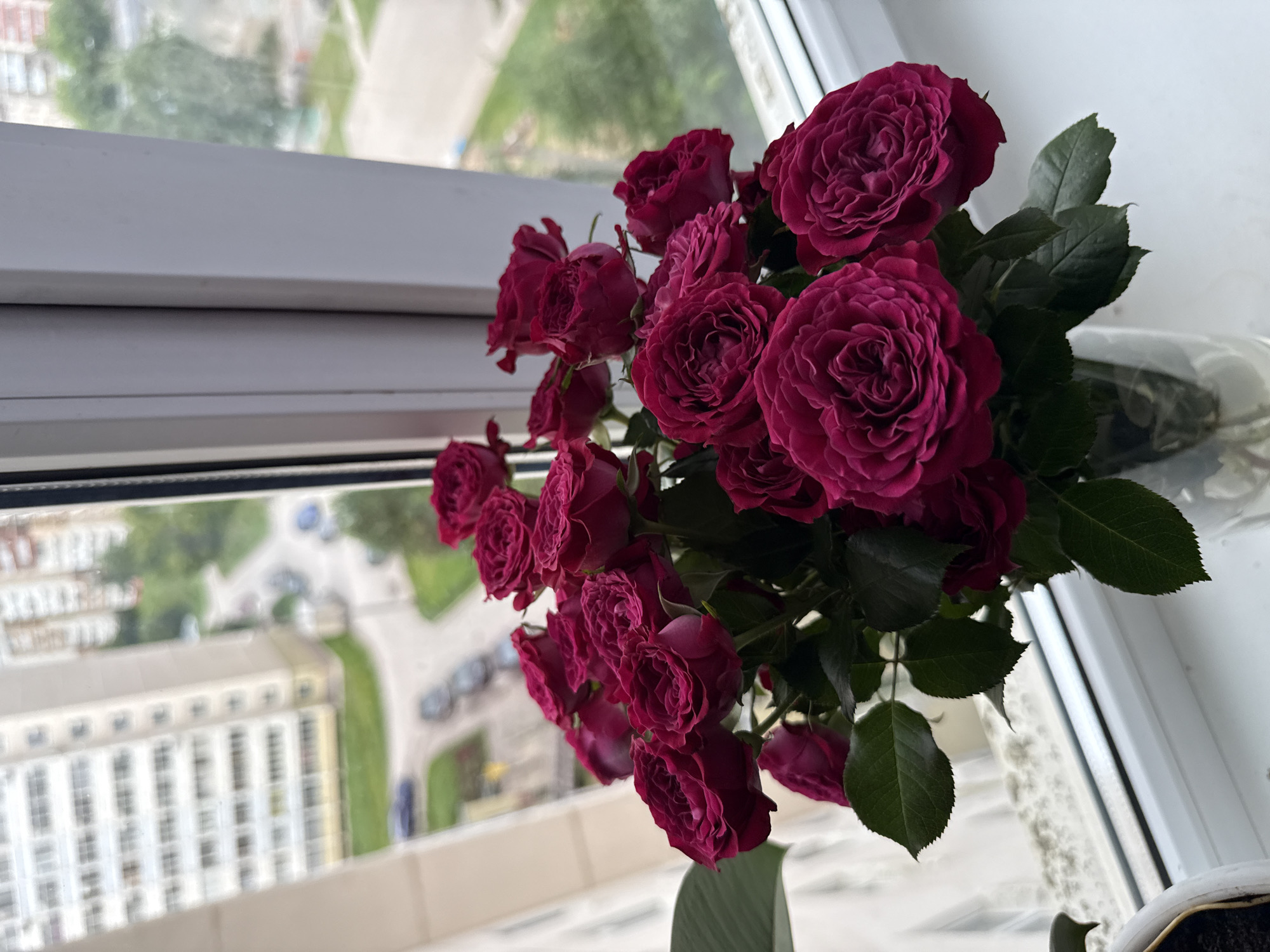 A bouquet of deep pink roses in a clear glass vase sits on a white windowsill. Outside the window, a view of a residential area in Perm, Russia, is visible. Apartment buildings, a street with cars, and trees are present in the background. The sky is overcast. The roses are fully bloomed and have many petals.