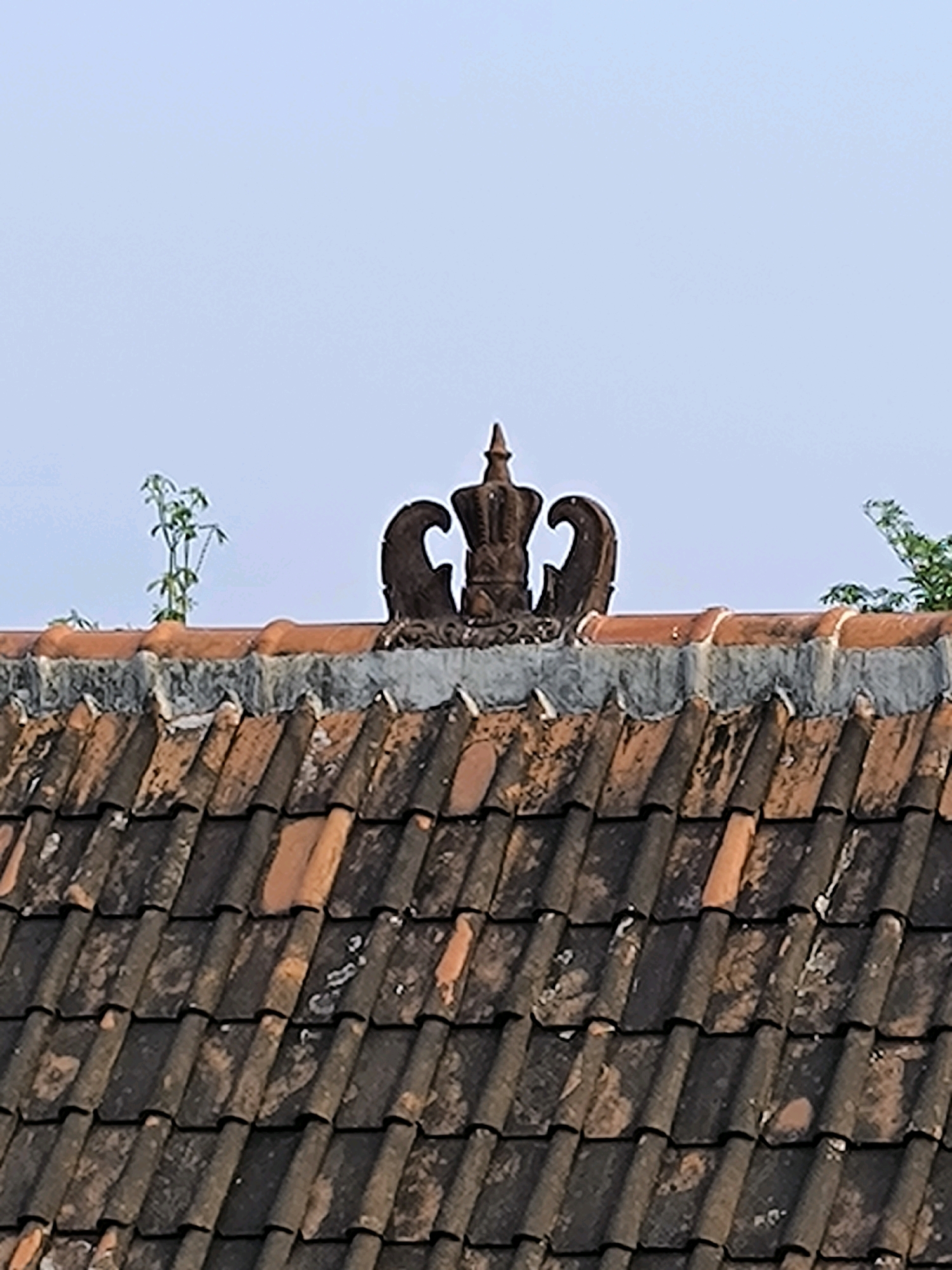 A close-up, low-angle shot captures a section of a terracotta tiled roof against a clear, pale blue sky. The roof is composed of numerous curved, overlapping tiles, predominantly dark brown and some reddish-orange, showing signs of age and weathering with scattered patches of lichen or moss. A decorative, dark brown ornament resembling a stylized crown sits atop the peak of the roof ridge, with two ornate curved elements on either side. In the background, to the left of the crown, a small green plant with delicate leaves grows from a crack in the roof. To the right, out of focus, is a hint of green foliage. The foreground is dominated by the textured pattern of the roof tiles.