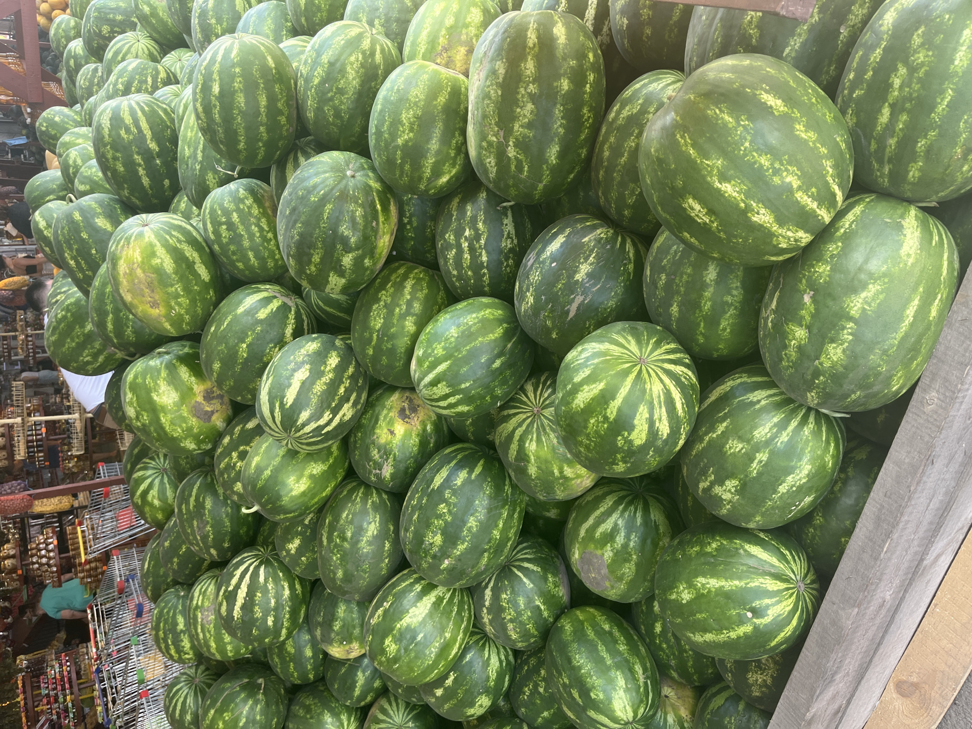 A large pile of watermelons is displayed in a market, with some shopping carts visible in the background. The watermelons are green with darker stripes and vary in size. A few people are present in the background, appearing to be shoppers or vendors, with one person in a blue shirt and another in a white shirt. The market appears to be outdoors or in a covered outdoor area, with stalls and shelves holding various goods in the distance. The scene is set in Plastunovskaya, Russia.