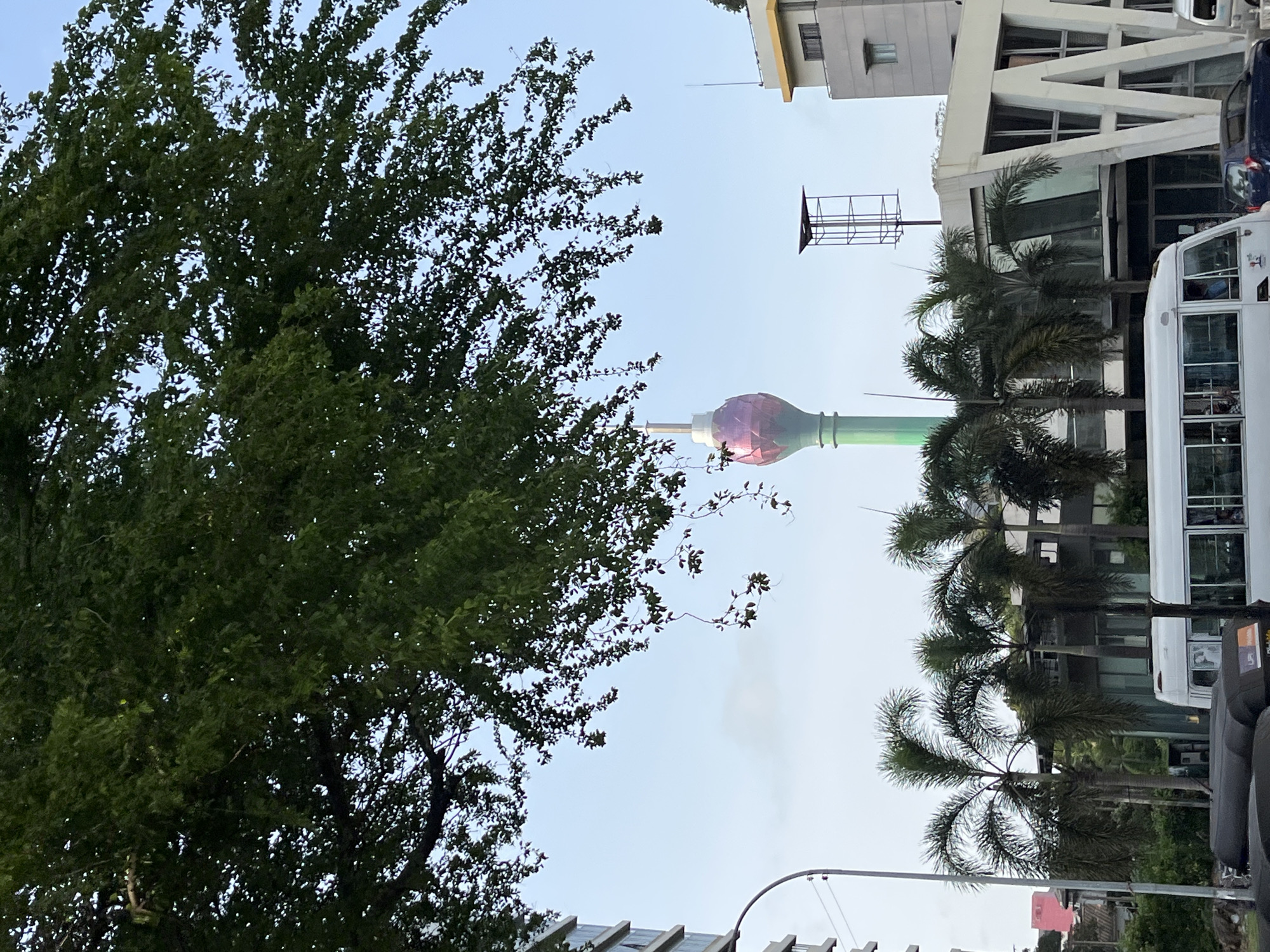 In Colombo, Sri Lanka, a panoramic view captures a city street scene under a pale sky, framed by the lush green canopy of a large tree. Dominating the distant skyline is the Lotus Tower, its distinctive lotus-shaped bulb glowing with a soft pink and purple hue, its green stem piercing the sky. In the foreground, palm trees stand tall, their fronds rustling gently. A white bus, its windows reflecting the surroundings, occupies the lower portion of the image, hinting at the flow of urban life. Behind the palm trees, modern buildings with glass facades suggest commercial spaces. The overall impression is one of a vibrant city, blending natural beauty with contemporary architecture.