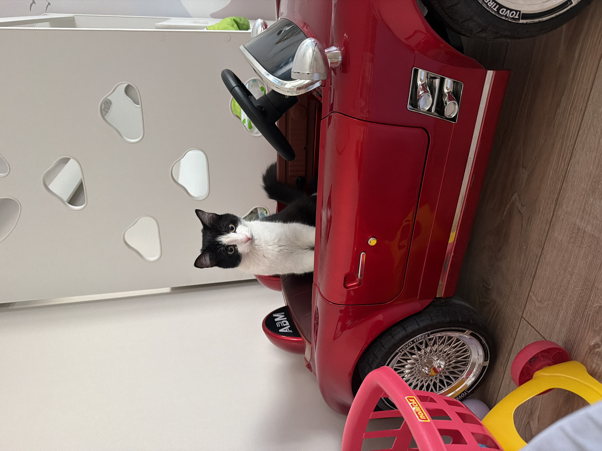 A black and white cat is seated in a red toy car. The car has silver accents and black tires. The background includes a white wall with irregularly shaped cutouts and a wooden floor. Toy parts, including a pink basket and a yellow piece, are near the car's rear. The location is Chaikovsky, Russia.