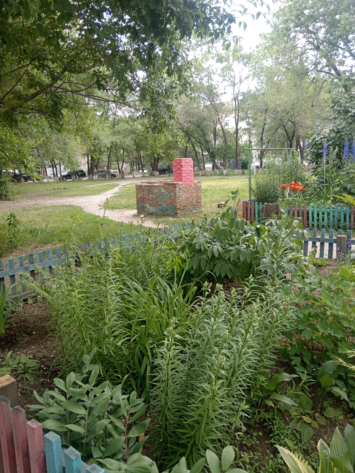 This is a photograph taken in the city of Belogorsk, Russia, likely on a cloudy day. The scene depicts a residential courtyard with a garden area in the foreground. A low, multi-colored wooden fence, painted in shades of blue, pink, and red, encloses a section of the garden.
Within the fenced garden, various plants are visible. Tall, slender green stalks with many leaves dominate the center foreground, reaching upwards. To the left, a dense cluster of broad green leaves is present. Further into the garden, a bright orange lily-like flower stands out, accompanied by tall blue delphiniums. Behind the plants, a small, red brick structure, possibly a chimney or decorative element, is visible.
Beyond the garden, a dirt path winds through a grassy area. Several trees with green foliage are scattered throughout the courtyard. In the background, parked cars are visible on a paved surface, and apartment buildings are seen through the trees. The overall impression is of a lived-in urban space with attempts at natural beautification. There are no people or animals present in the frame.