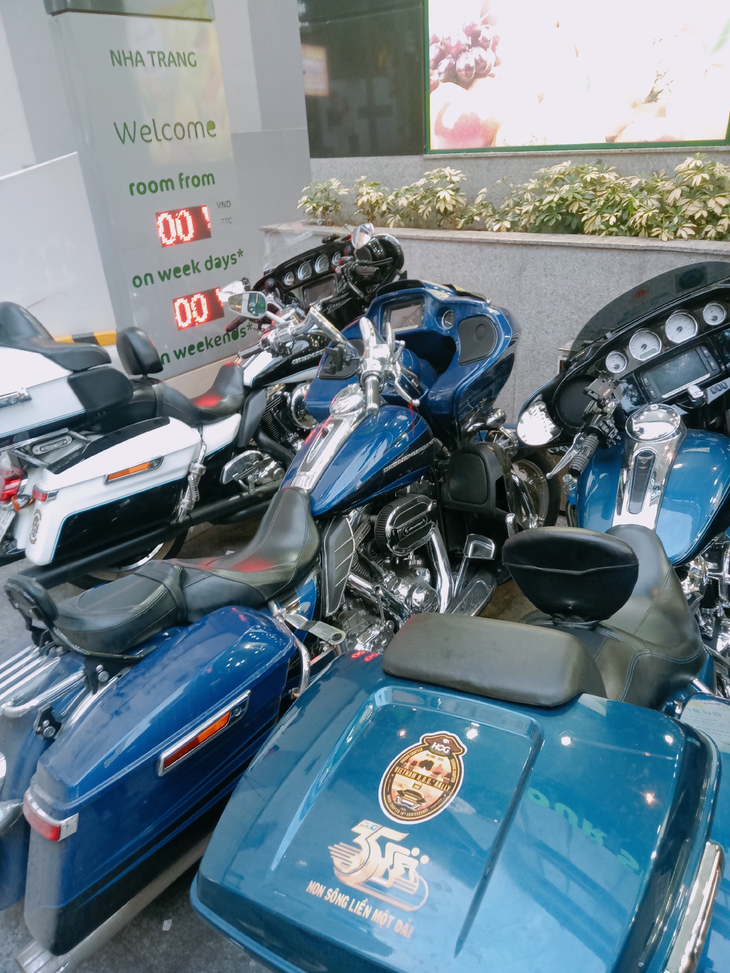 Here is a description of the image:
The image shows a group of motorcycles parked near a building. A sign that says "NHA TRANG Welcome room from" is visible, indicating that the location is in the city of Nha Trang Ward, Vietnam. The motorcycles appear to be Harley-Davidson models. One motorcycle has a sticker that says "VIETNAM H.O.G. RALLY," implying that it is a local chapter of the Harley Owners Group (HOG). Another logo on the same motorcycle reads "35 Non Sông Liên Một Dải." The motorcycles appear to be arranged closely together, potentially in a designated parking area. There is greenery in the background.