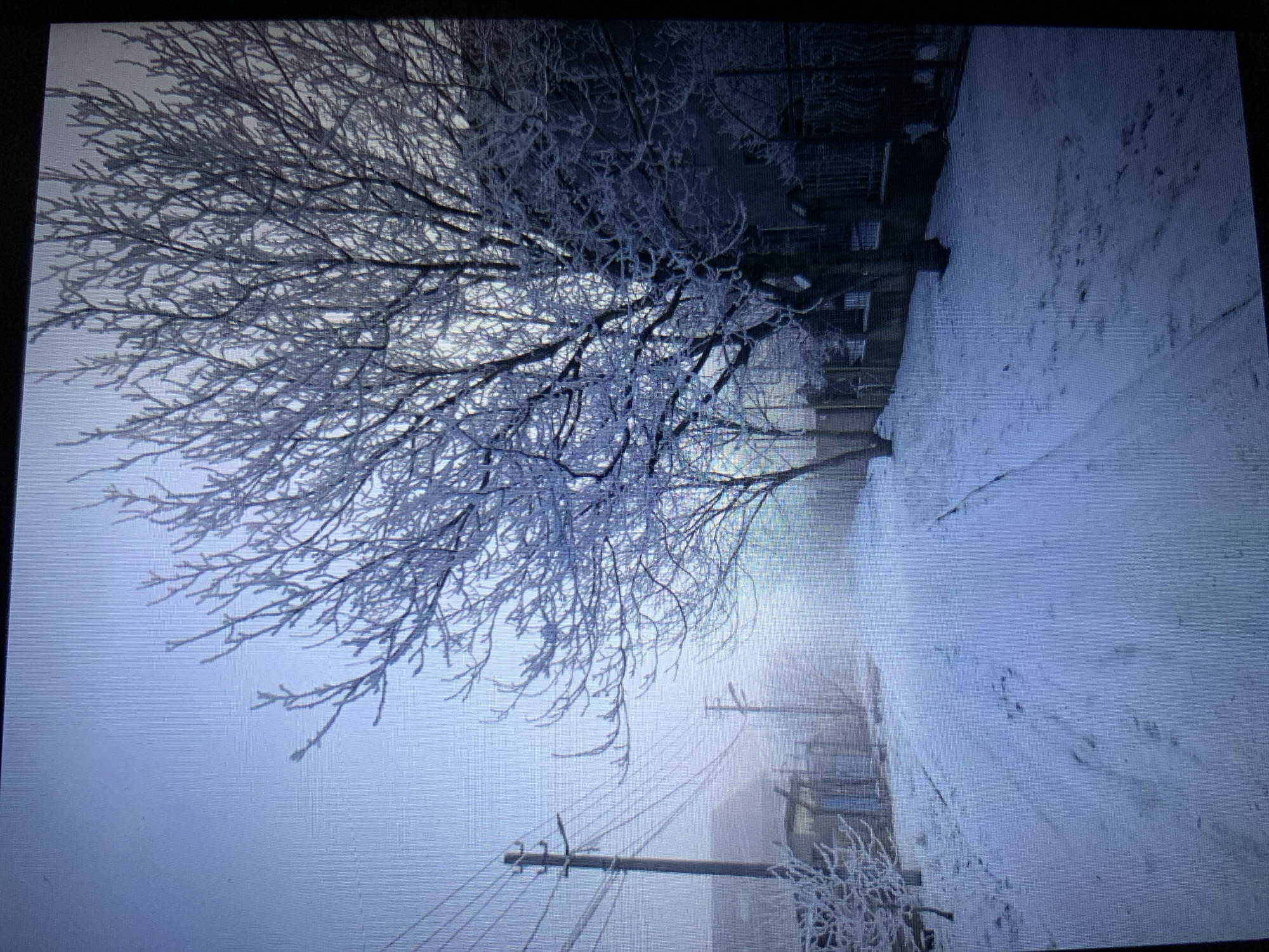 The image depicts a snow-covered street in Lymanka, Ukraine, under a hazy, overcast sky. Large trees, heavily encrusted with frost, line the right side of the road, their bare branches creating intricate patterns against the pale sky. To the left, utility poles with power lines stretch along the street, and the blurry outlines of buildings can be seen through the mist. The road itself is blanketed in snow, with tire tracks or footprints visible in the surface, suggesting recent passage. The overall atmosphere is one of stillness and cold.