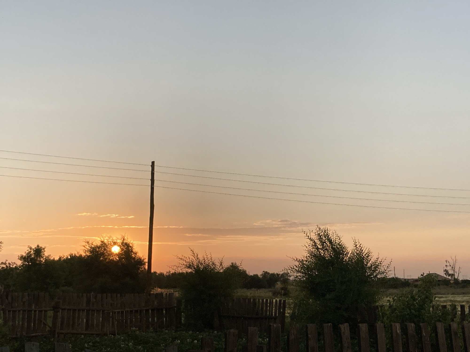 A low-angle, full shot captures a rustic scene at dusk in Rakity, Russia. The sky is a gradient of pale blue at the top, transitioning to a soft orange and yellow hue near the horizon, indicative of sunset. A wooden pole stands prominently on the right, with three parallel electrical wires stretching horizontally across the frame above it.
In the middle ground, a dense line of dark green trees forms a natural backdrop, with the sun partially obscured behind the foliage on the left, casting a warm glow. A rough-hewn wooden fence runs along the bottom of the image, creating a distinct foreground. Behind the fence, the ground is covered with green foliage, some of which appears to be small plants. The overall impression is one of a rural landscape at the end of the day.