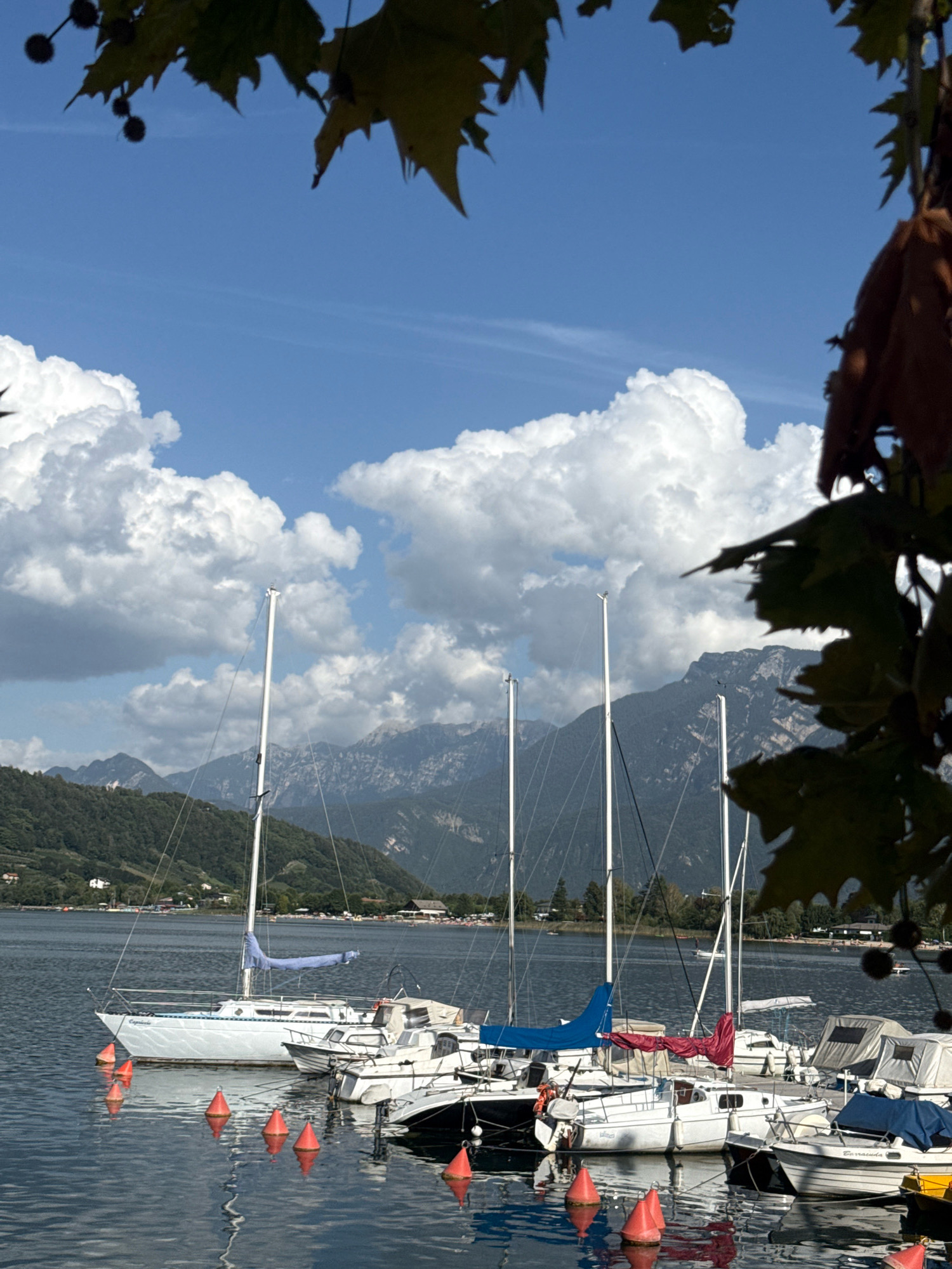In Calceranica al Lago, Italy, a body of water is dotted with moored sailboats on a sunny day. The sky is a vibrant blue, with large, fluffy white clouds scattered across it. In the background, a range of dark, tree-covered mountains rises majestically, their peaks sharp against the horizon. The foreground is dominated by the calm water, reflecting the sky and the boats. A single white sailboat with a blue sail is prominently featured on the left, its reflection creating a mirror image on the water's surface. Red buoys are strategically placed, marking the area and adding a splash of color to the scene. The overall atmosphere is one of tranquility and natural beauty.