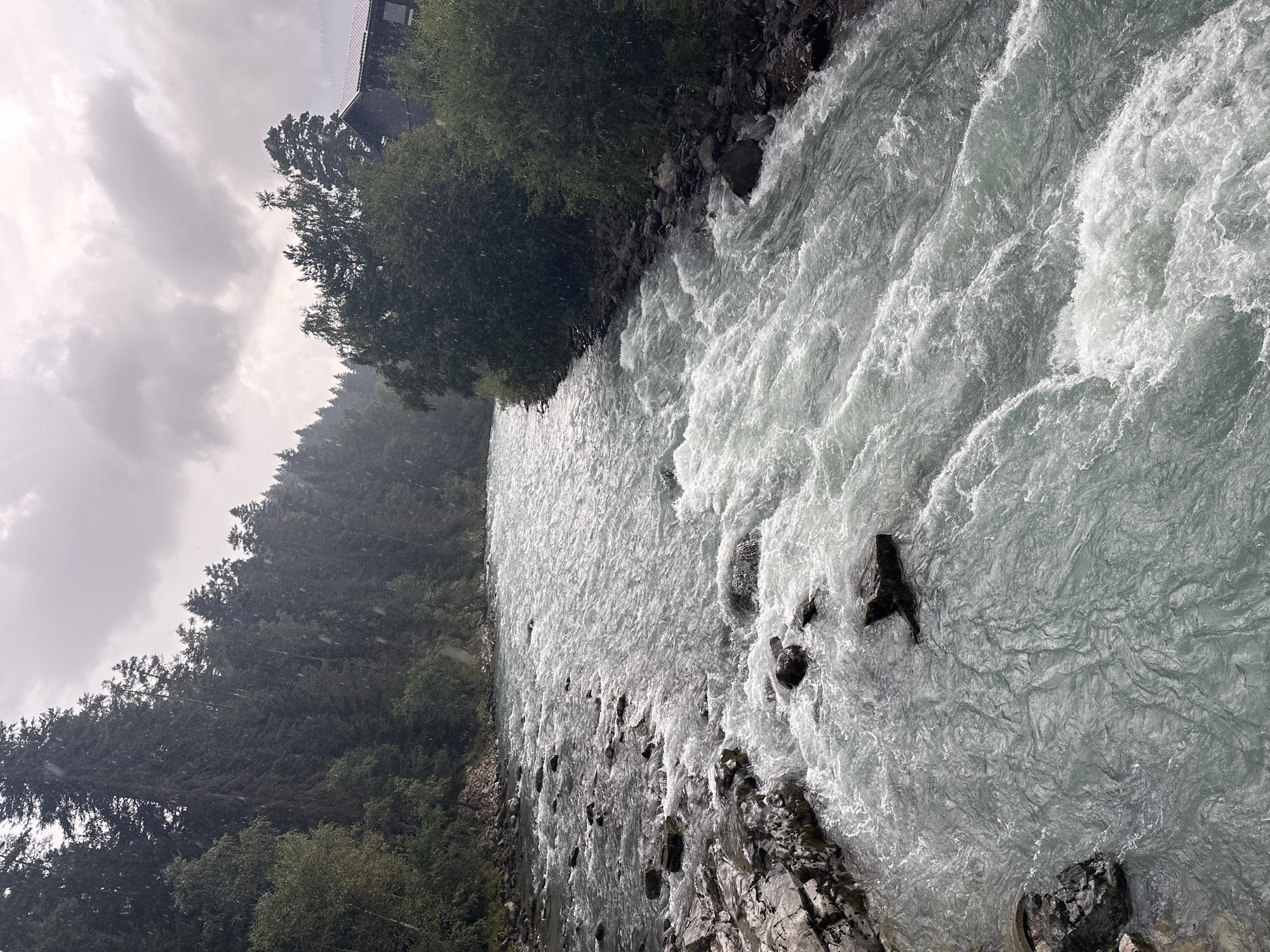 The image captures a wide, fast-flowing river in Arkhyz, Russia. The water is a milky, greenish-blue color, turbulent with white foam and ripples, suggesting a steep gradient or rapids. On the left bank, large, dark rocks are visible, some submerged in the water, with a densely forested slope rising behind them. The trees are predominantly coniferous, with dark green foliage. On the right bank, more trees line the edge of the river, and a dark-colored building with a sloped roof, possibly a house or lodge, is partially visible amongst the trees. The sky is overcast with grey clouds, and there appears to be light snowfall, with small white specks visible throughout the image, particularly against the darker areas of the forest and sky. The overall impression is a rugged, natural landscape in inclement weather.